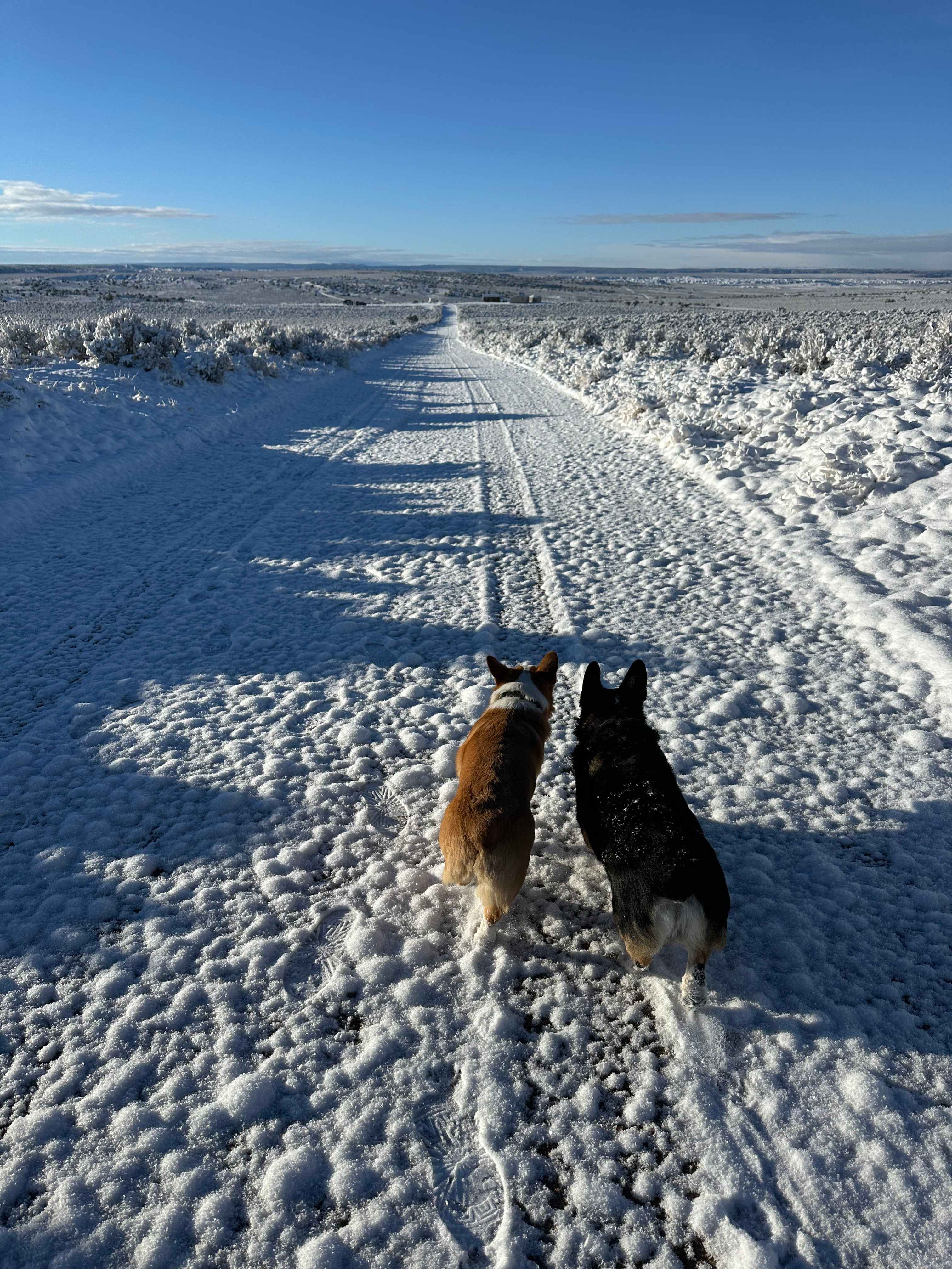 Horse-Thief Campground