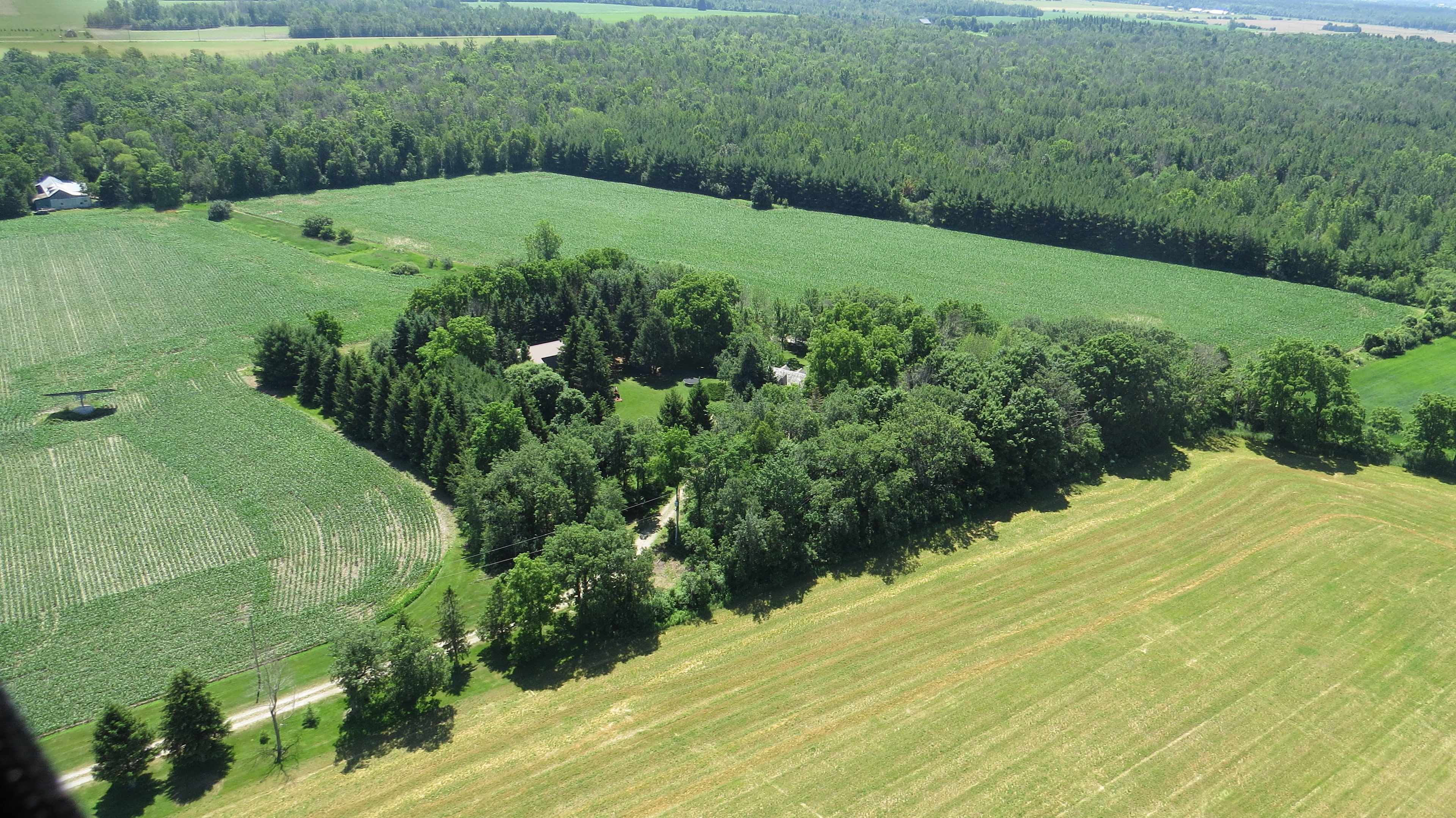 White Pine Forest Farm