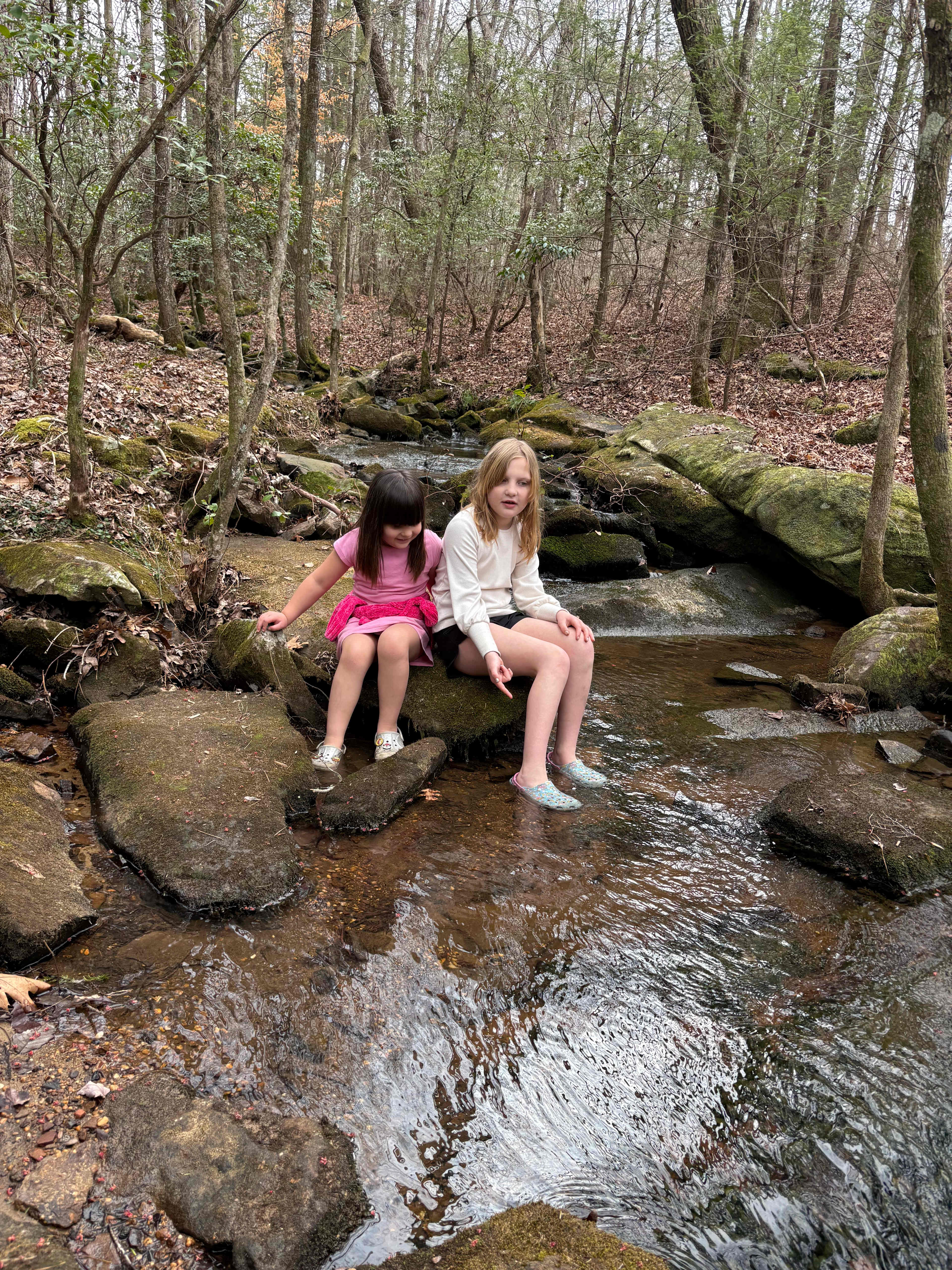 The Falls at Sewanee Creek