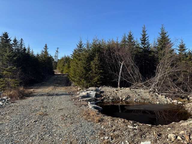 Fitzpatrick's Lake & Campsites
