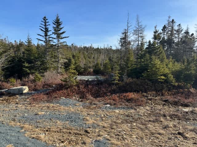 Fitzpatrick's Lake & Campsites
