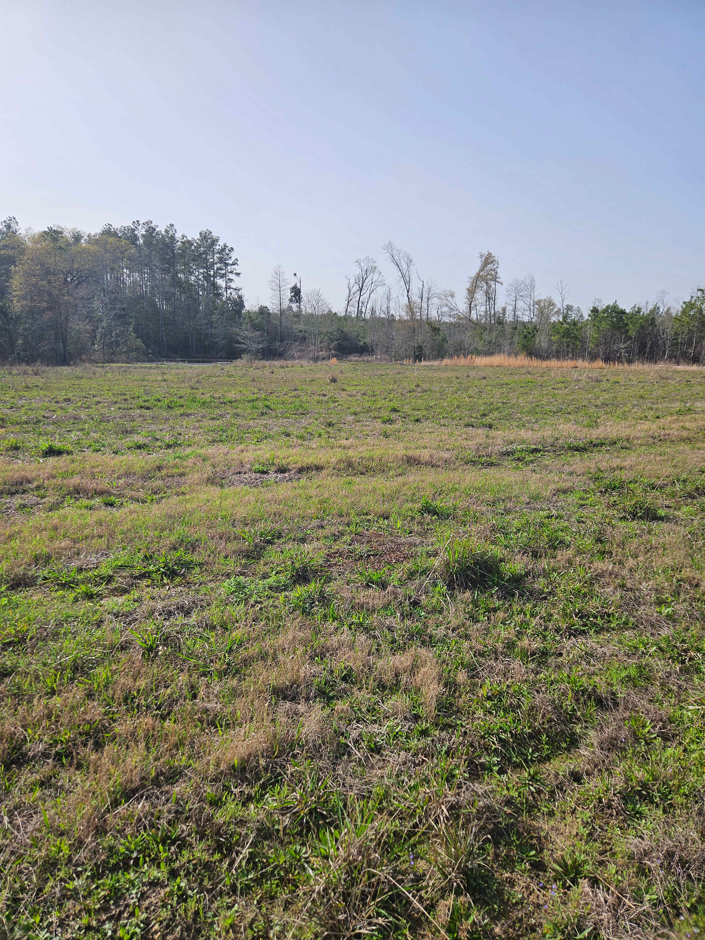 Greentown Flower Patch