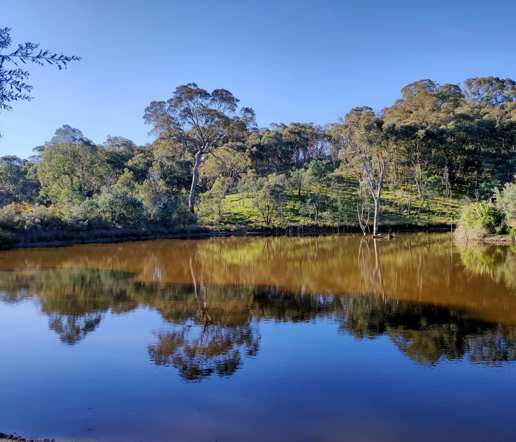 Stunning large dam for swimming and water fun!