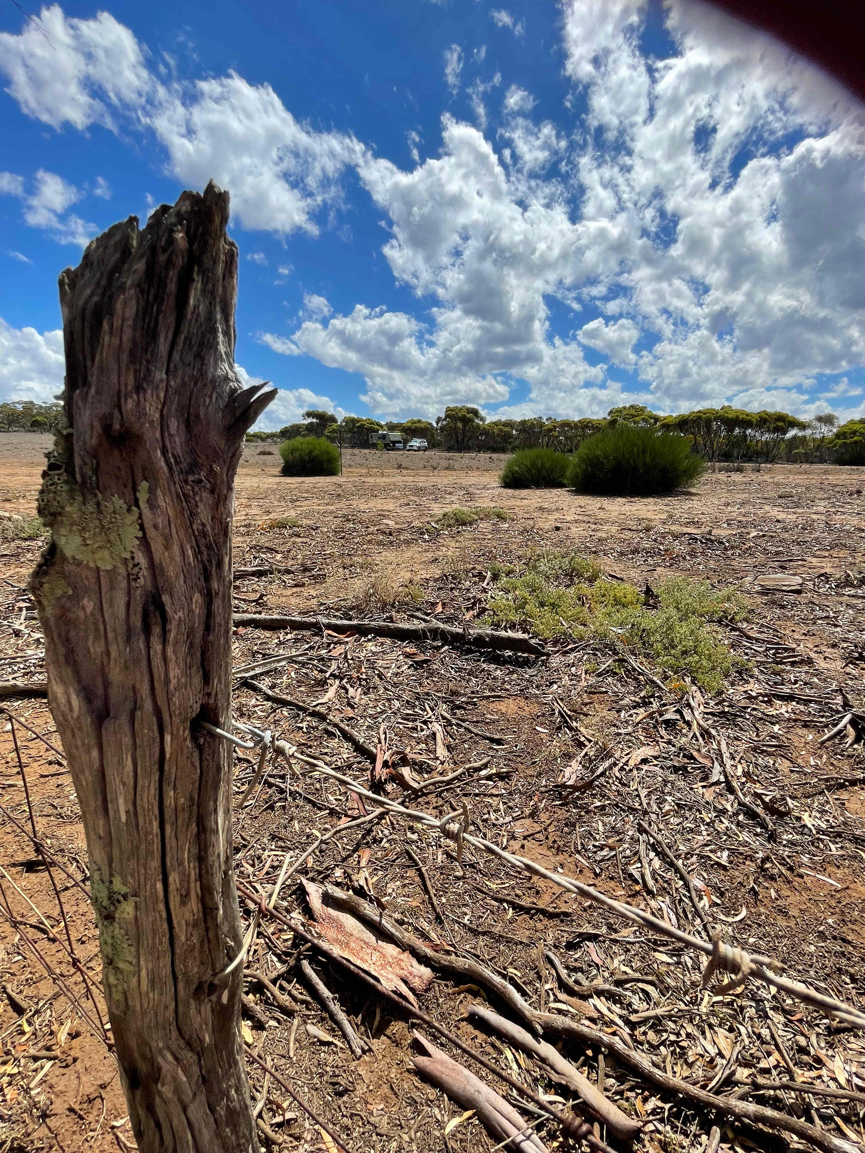 Old fence post looking back towards camp