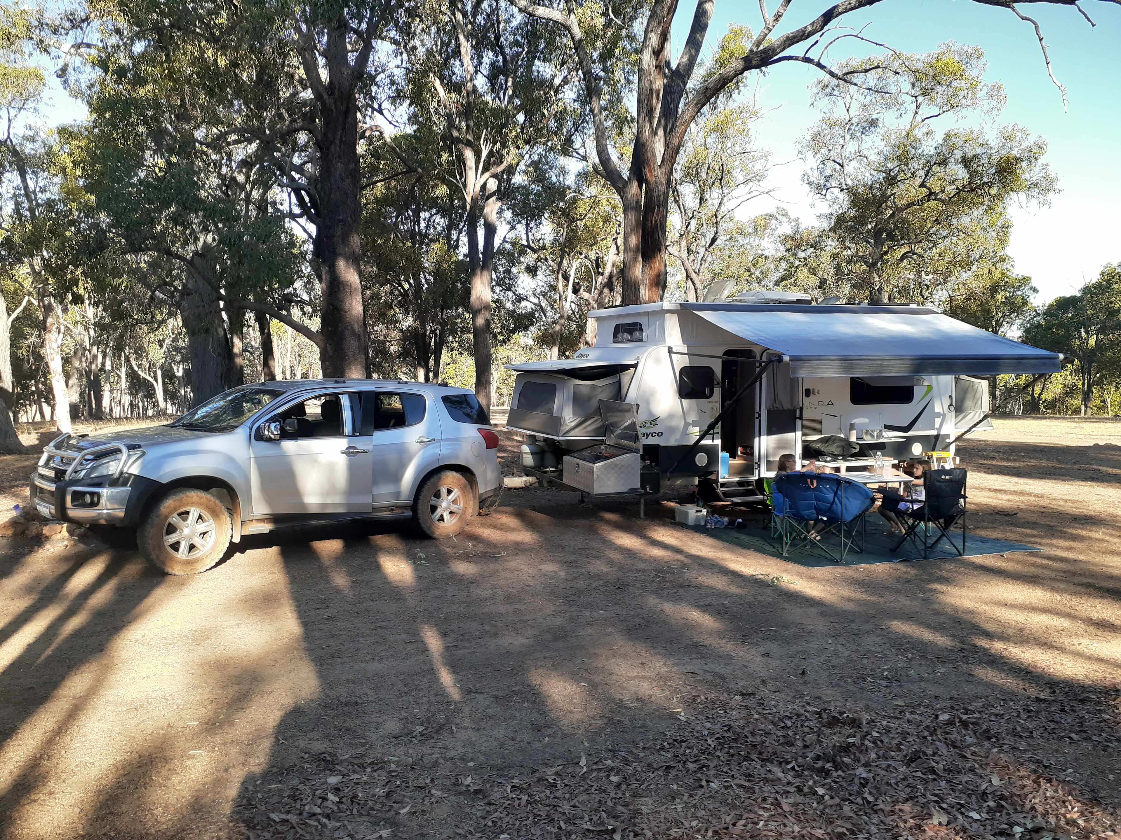 Pinegrove Camping