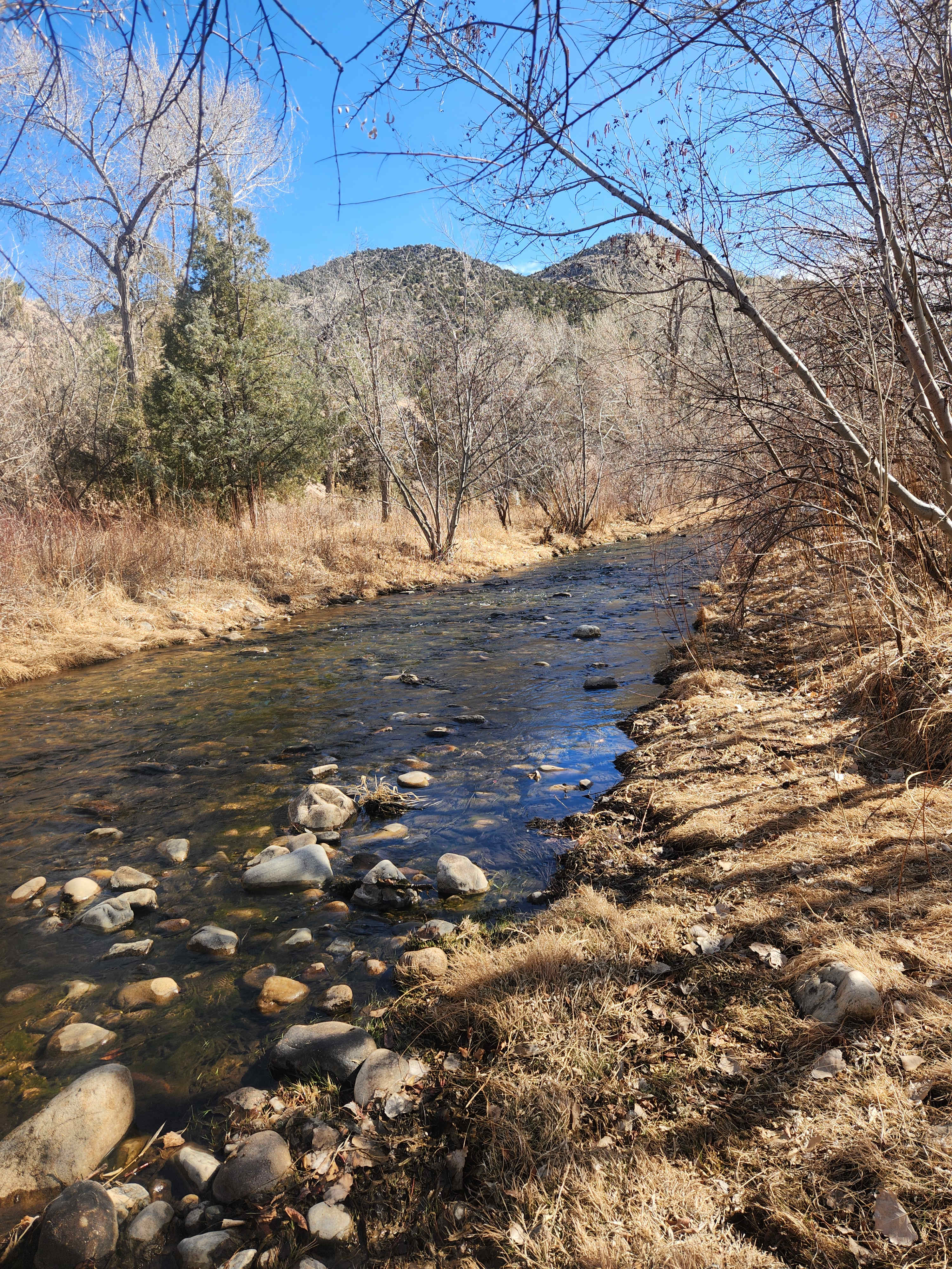 Mountain Stream