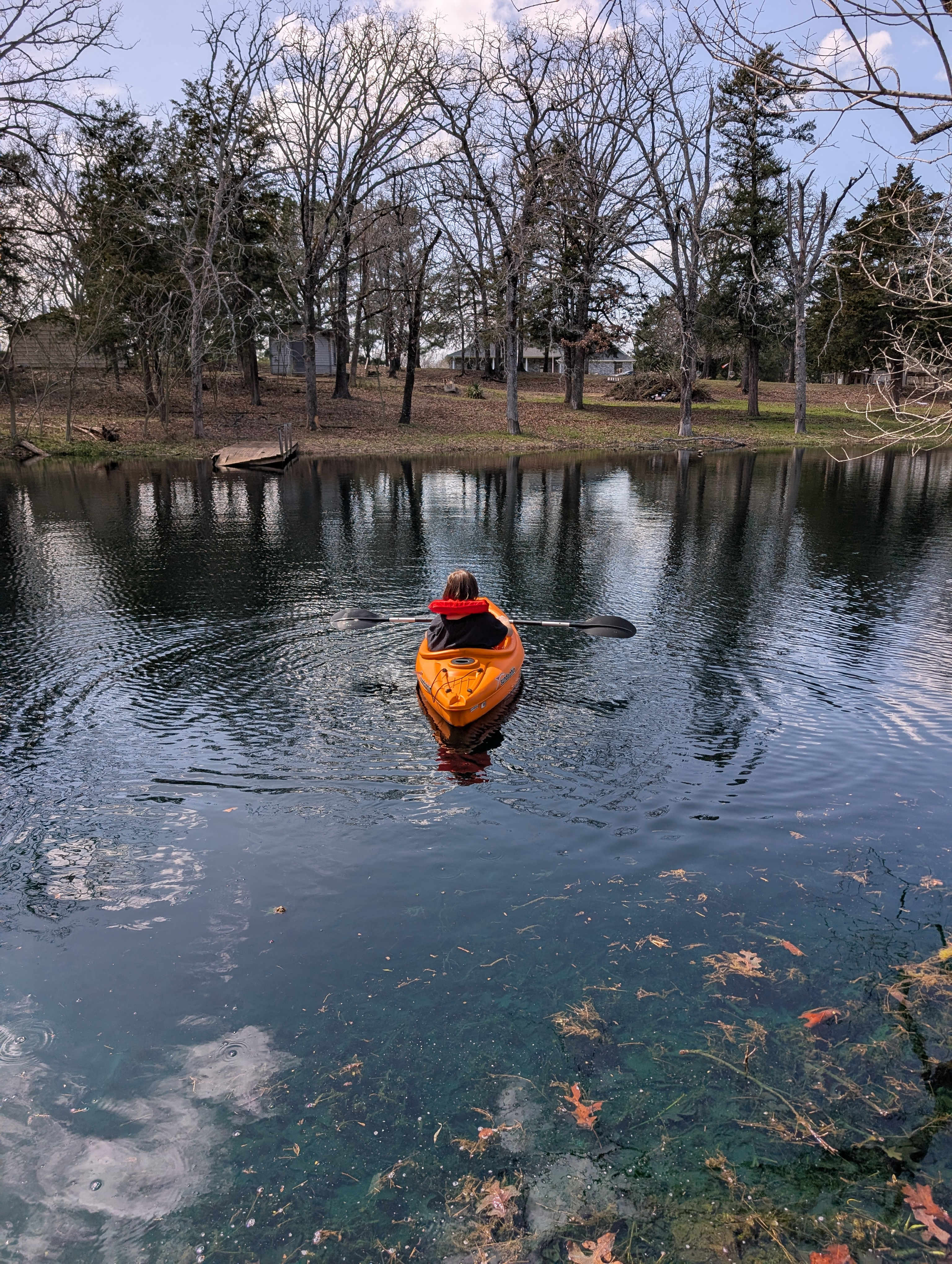 Beaver’s pond