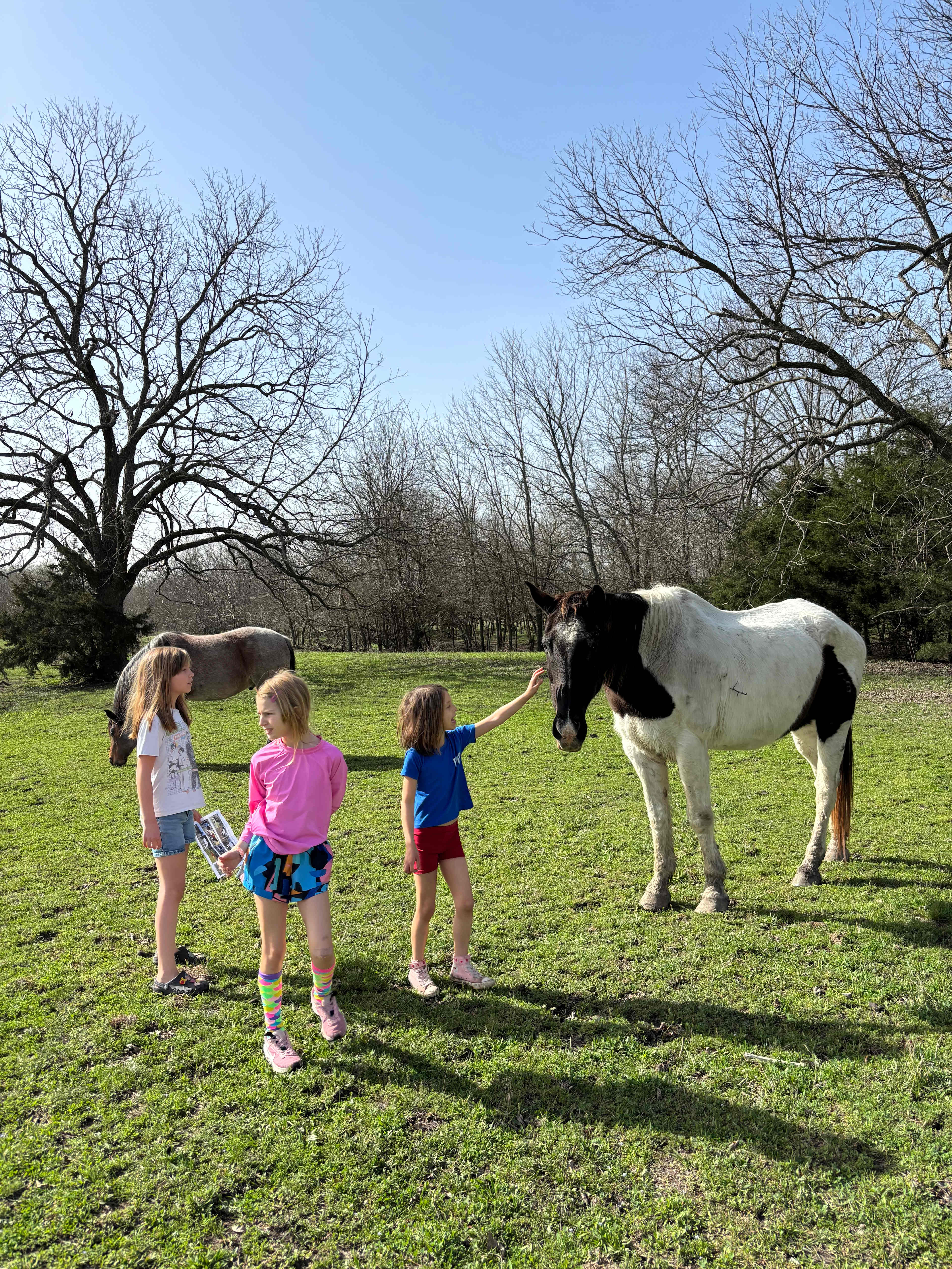 Sleep Under the Pecan Trees