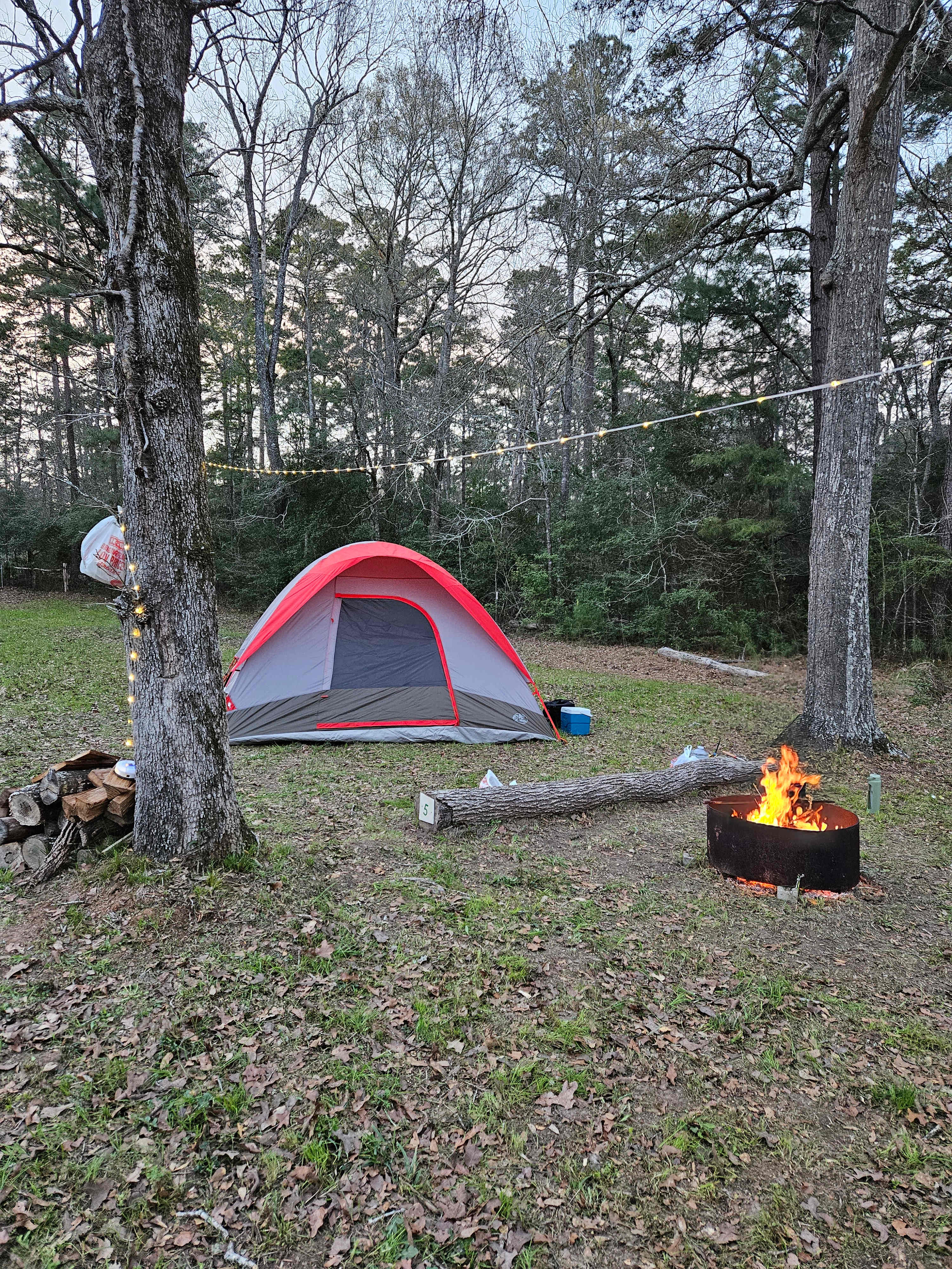 Picture of the site