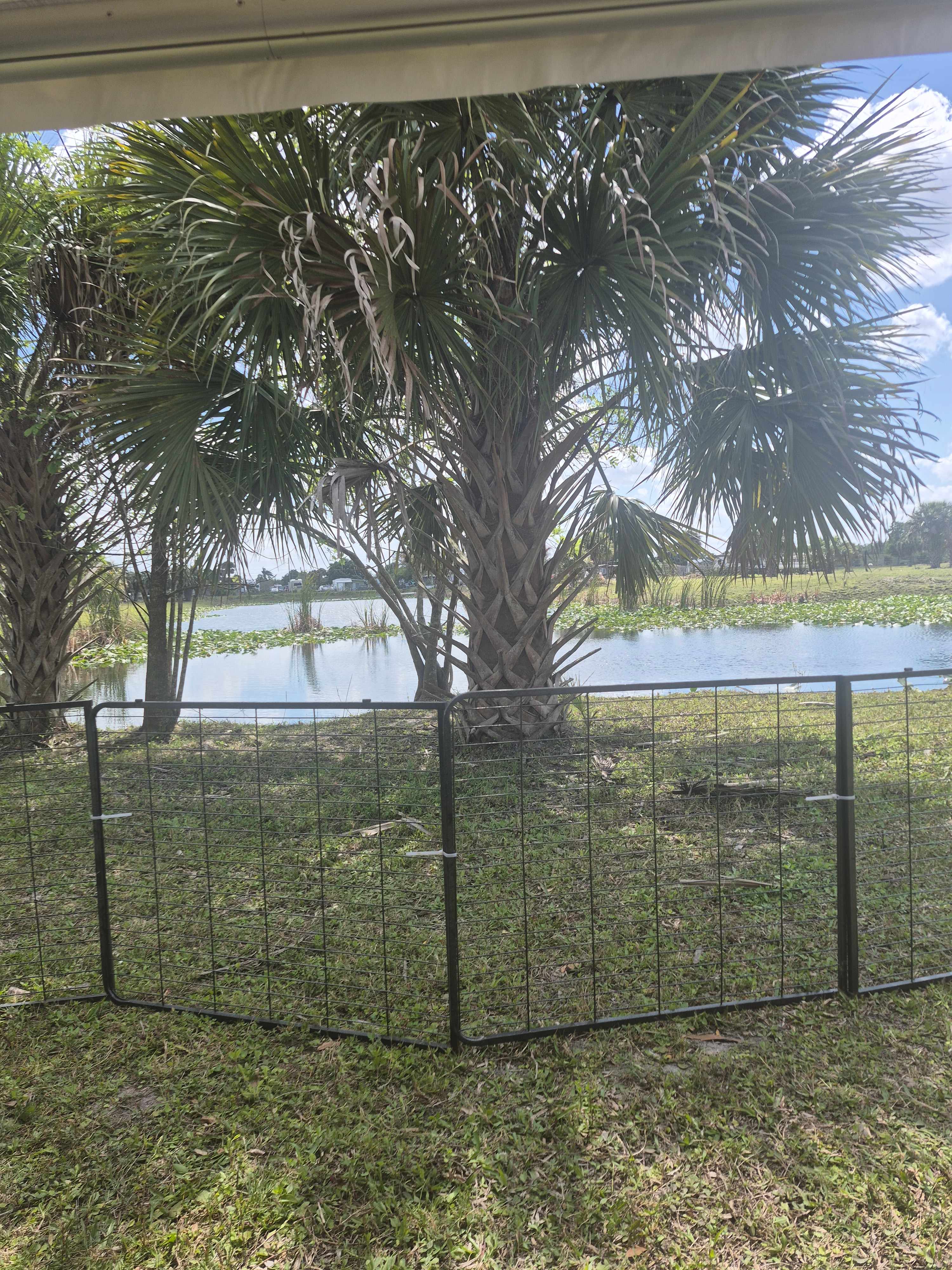Blue Fox Ranch: Lake & Farm Camp