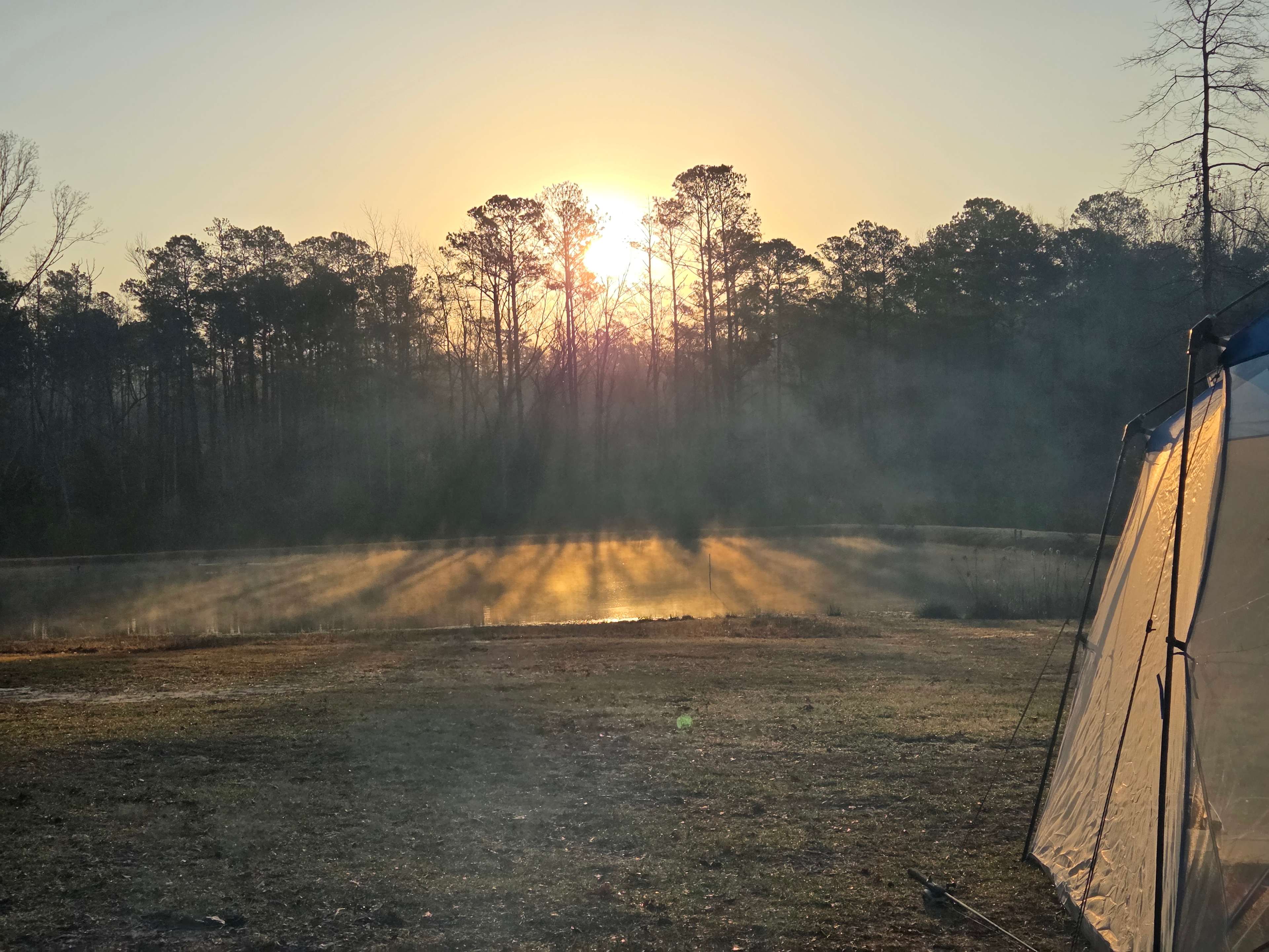 Beautiful sunrise