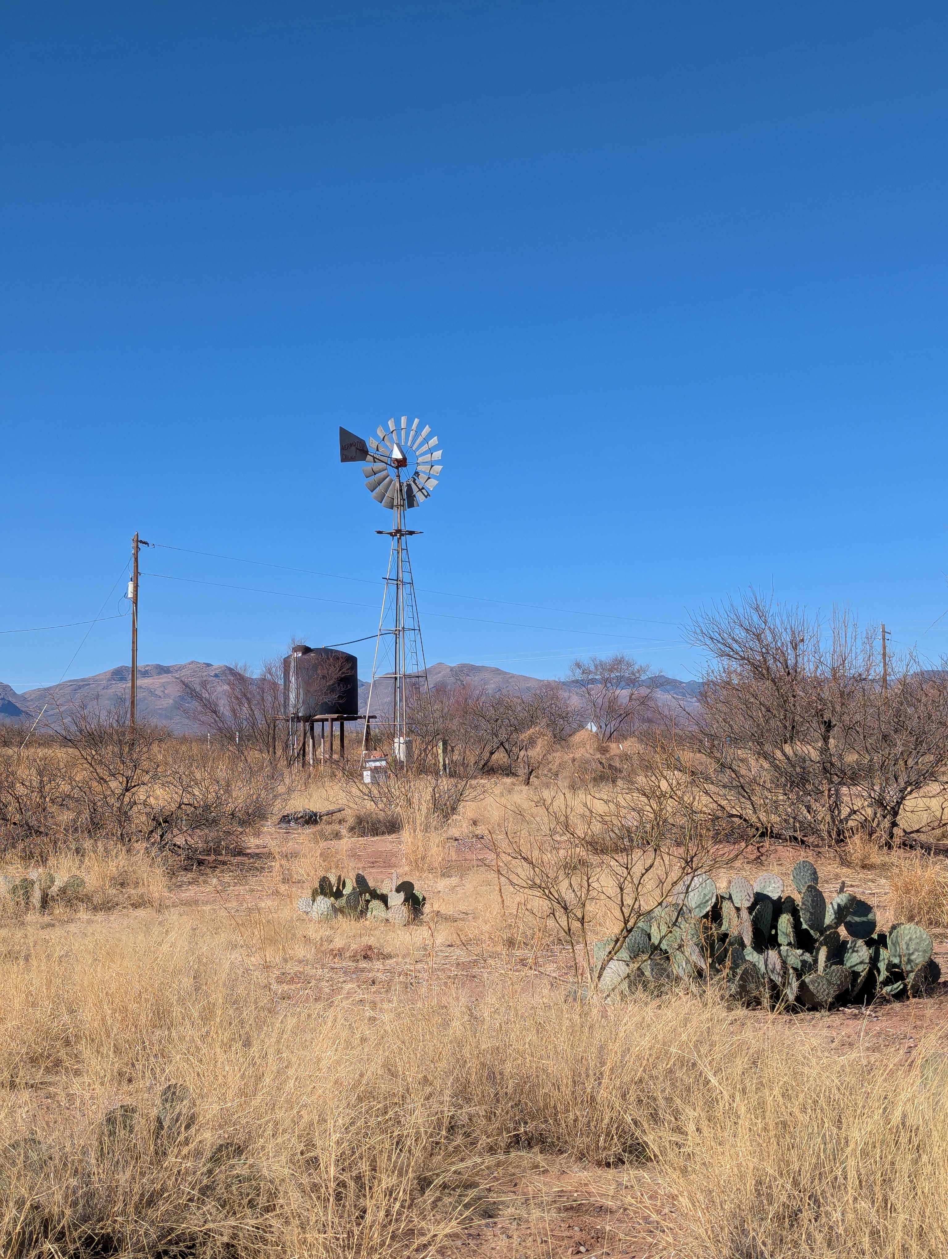 Harry and Barbara’s Windmill.
