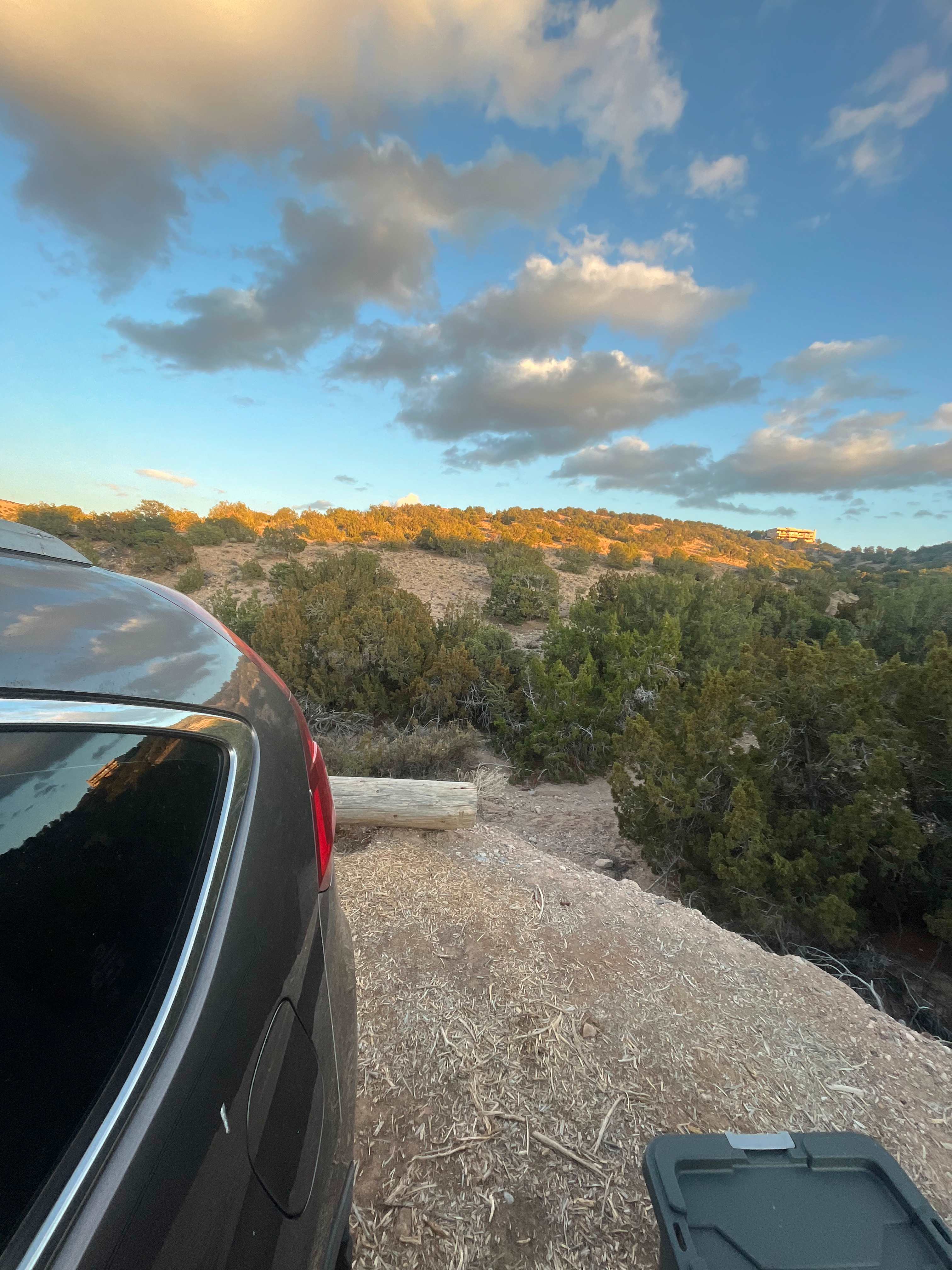 Tierra del RavenTree