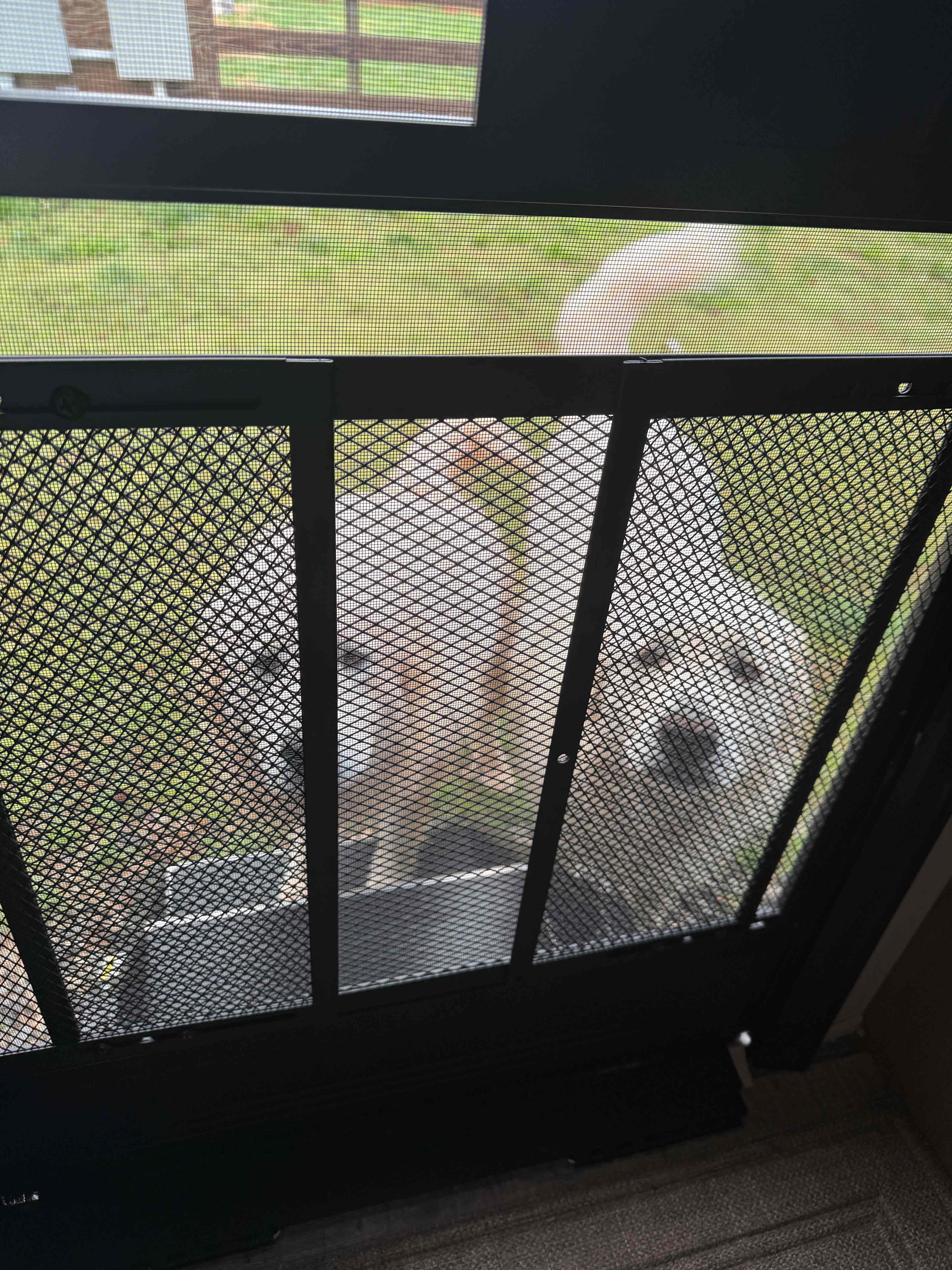 Look we survived the storms ….under your camper…. Sorry about all the barking …. Got any treats???