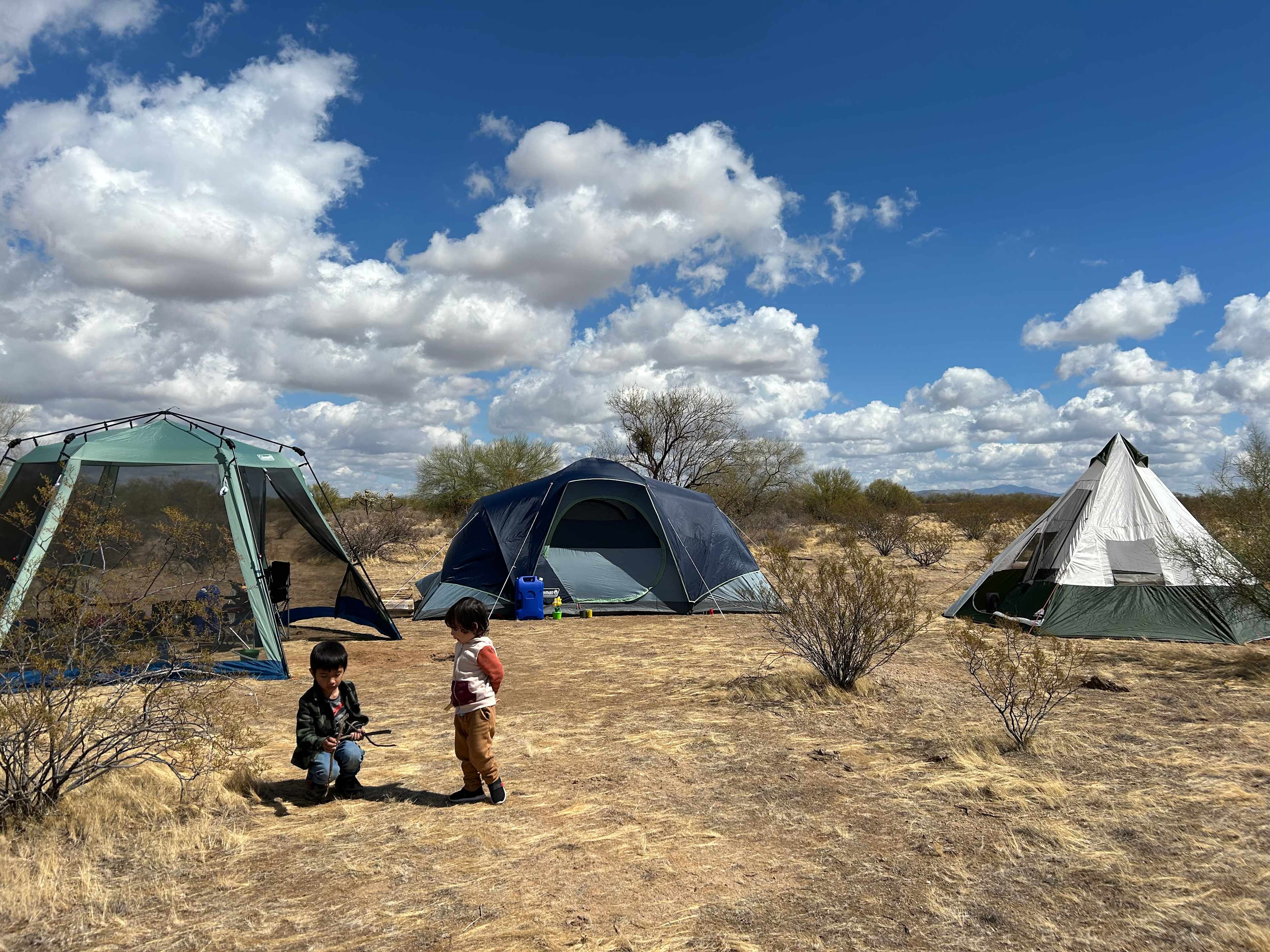 Cactus Forest Campground Boondock