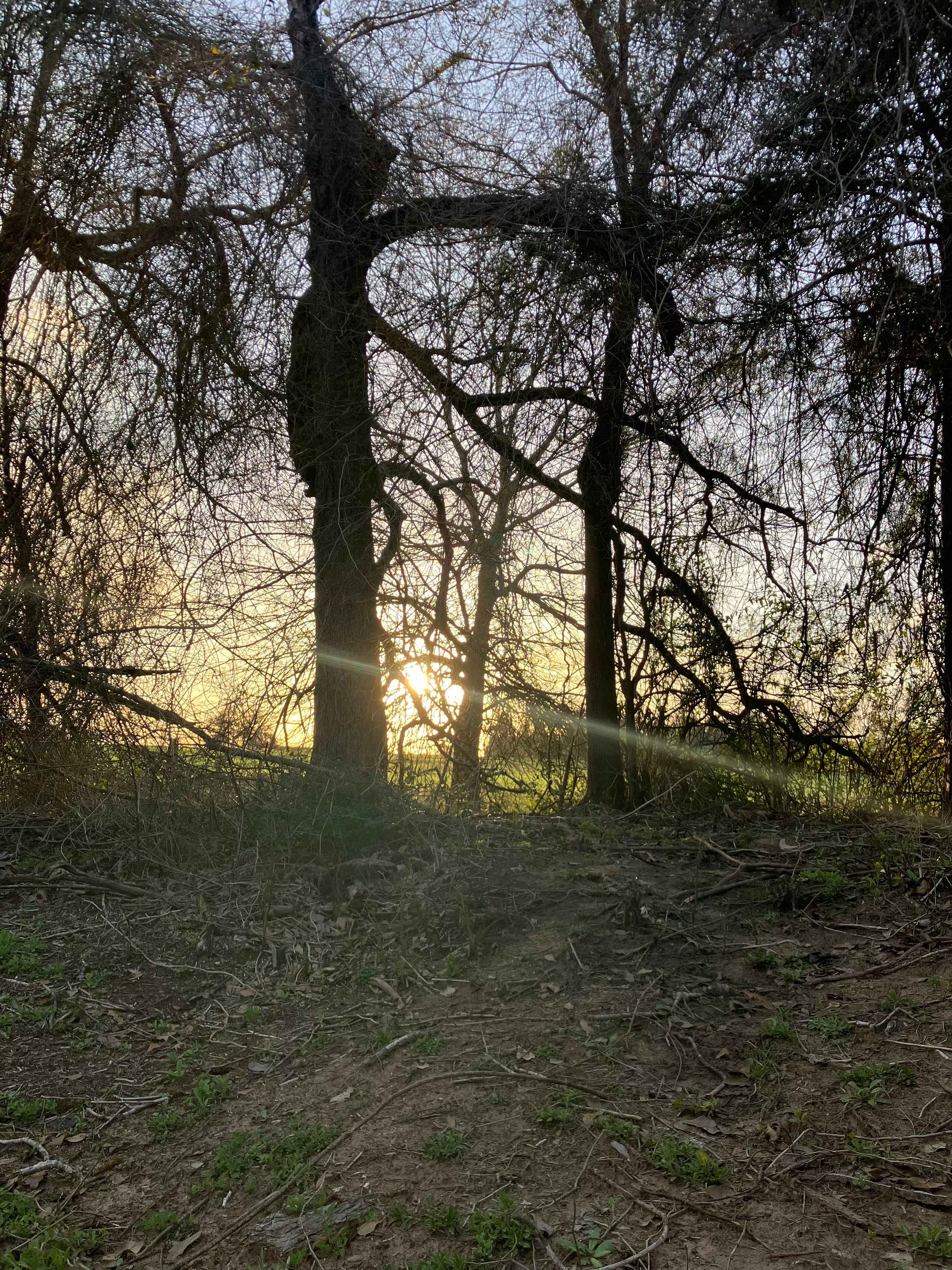 Jody’s Hideaway