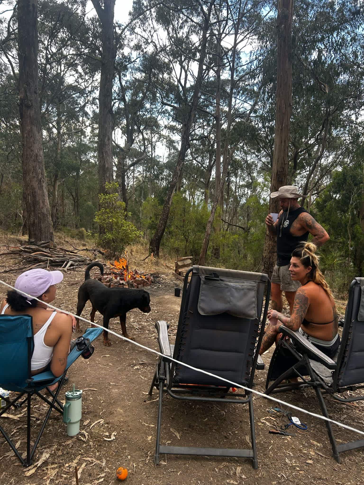 Tall Trees Otways Camp