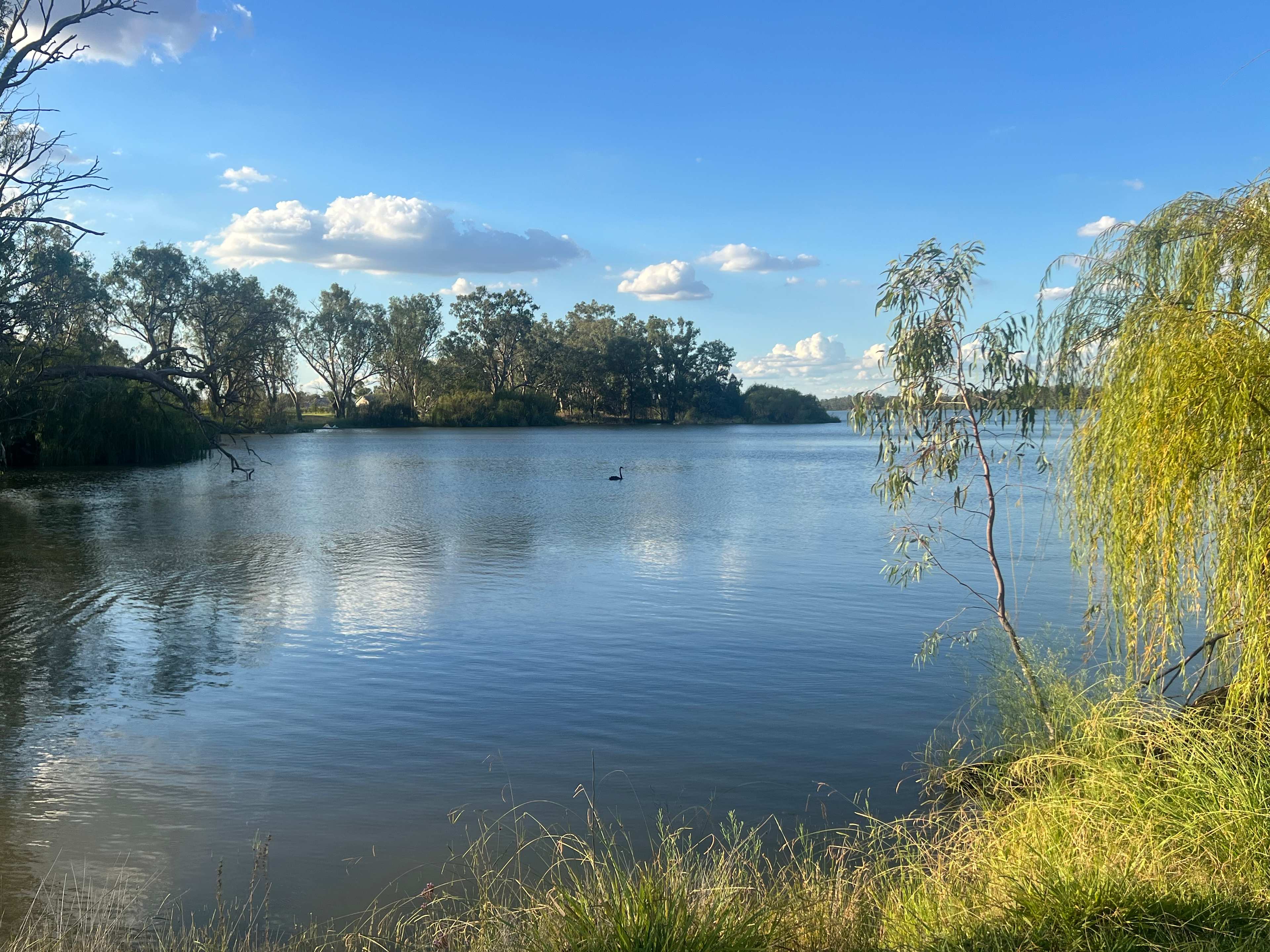 Curlew Camp - Birds & Fishing