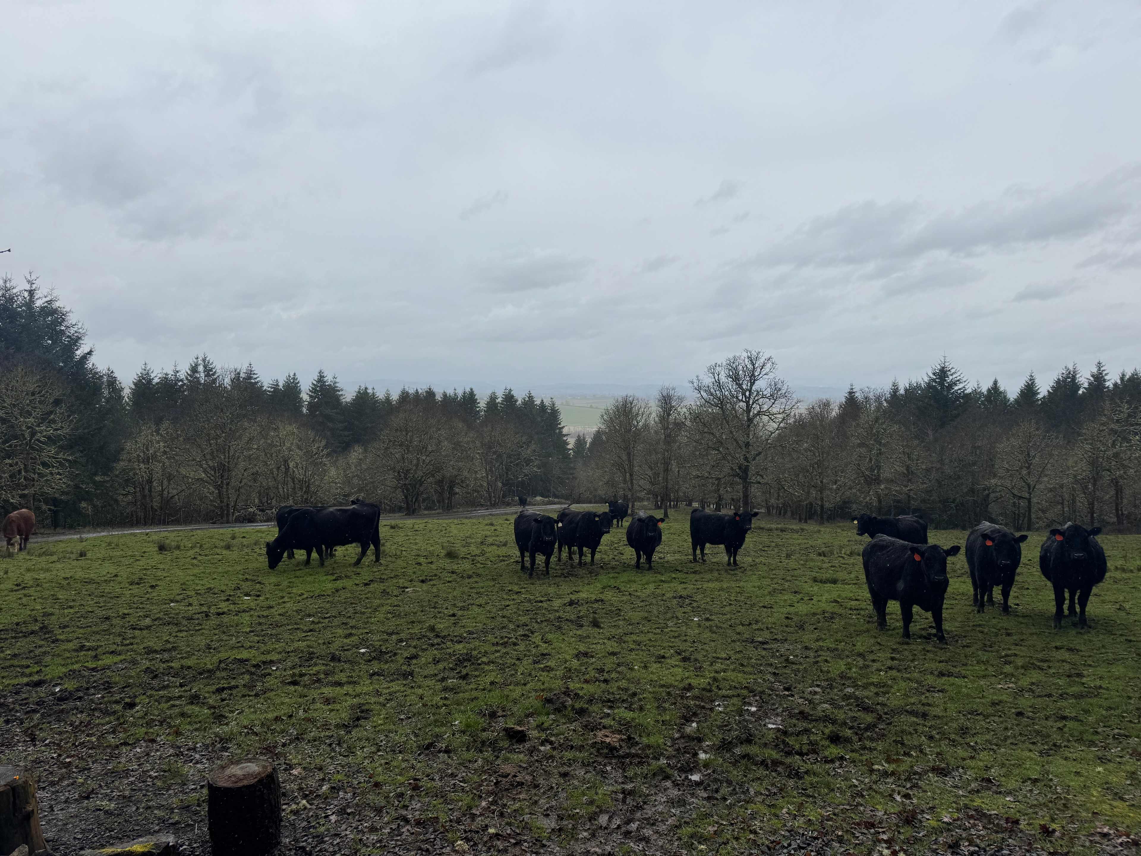 The Flying F Ranch Bunkhouse
