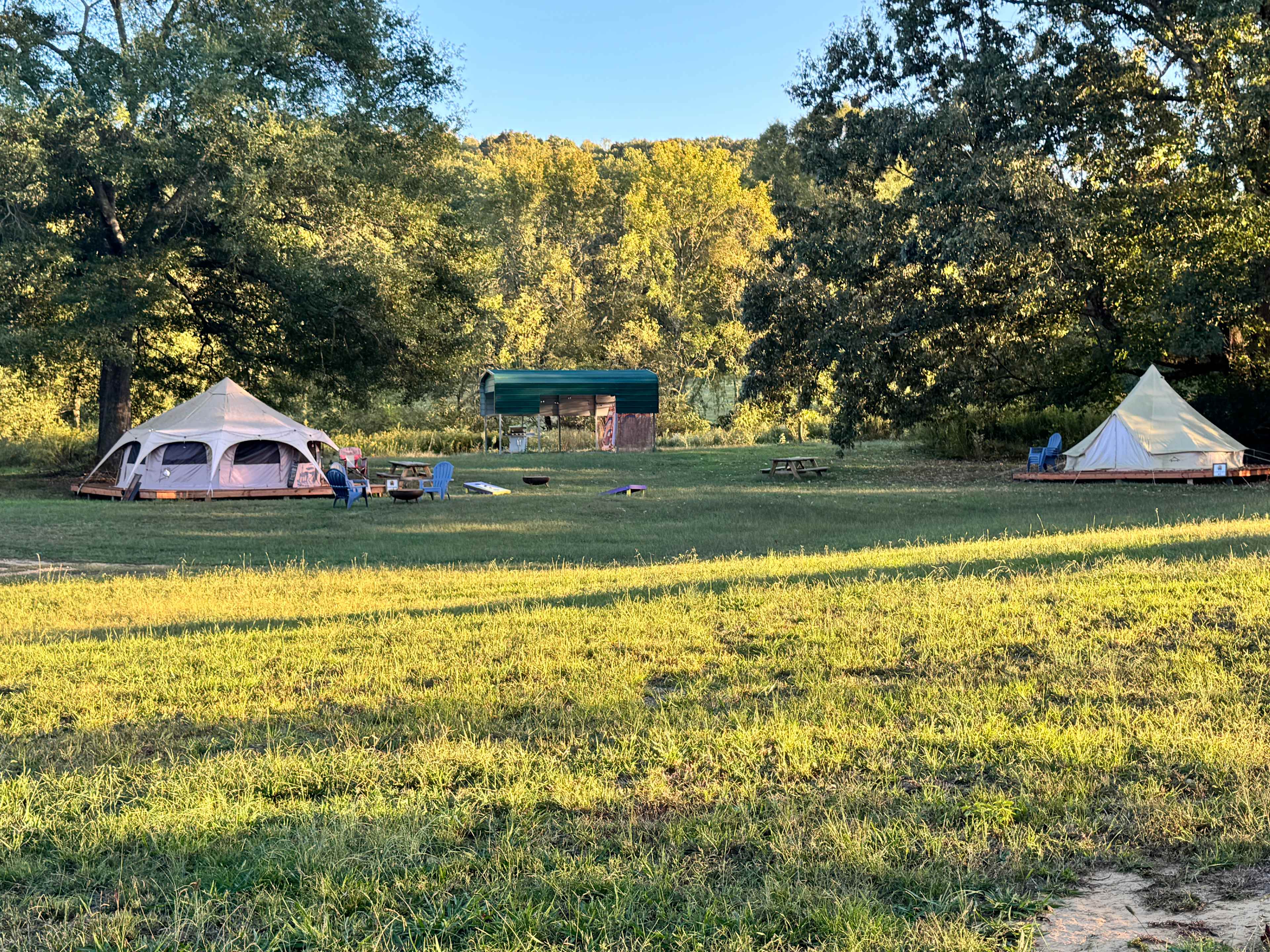 Untamed Acres