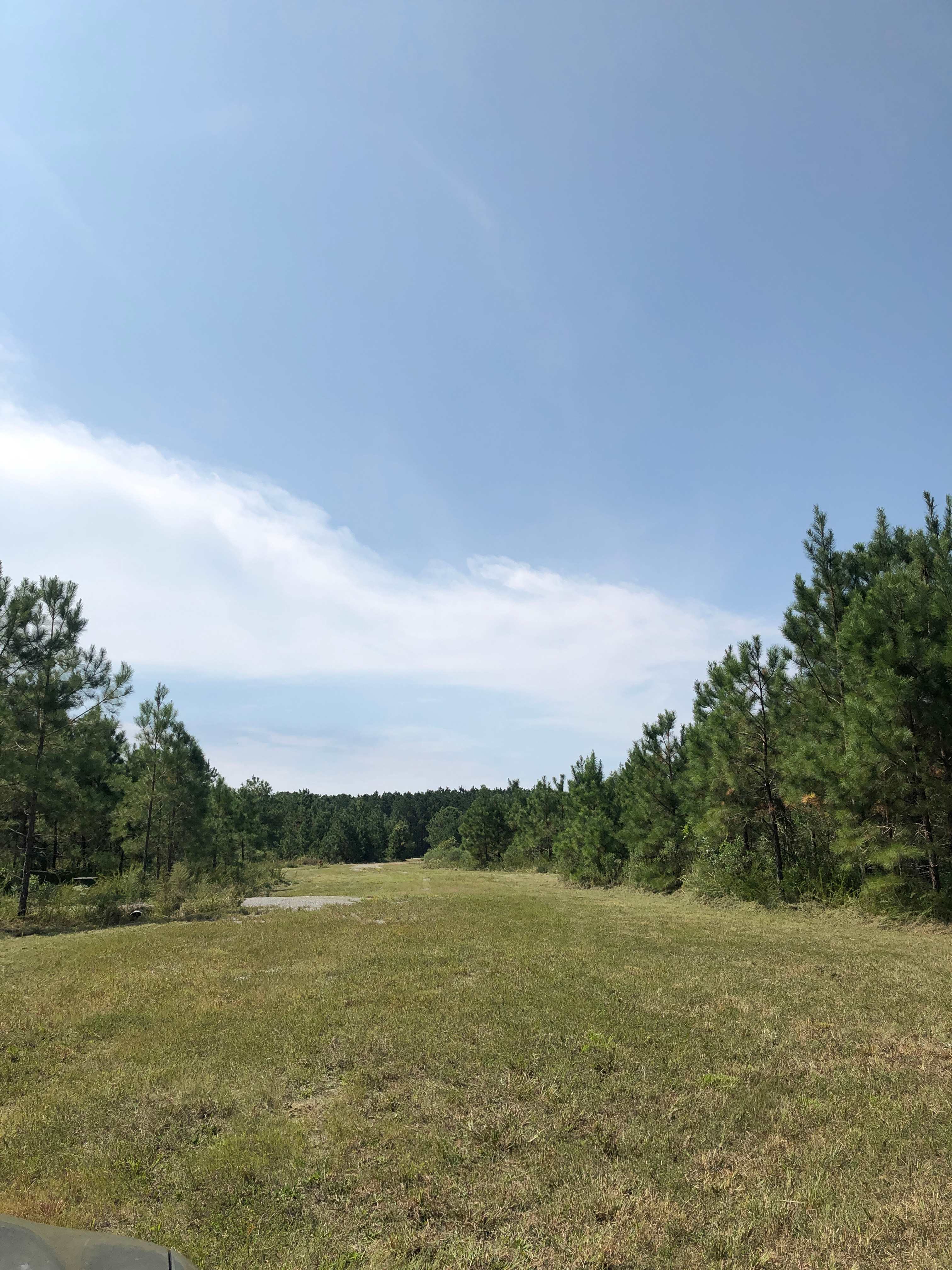 Open Field