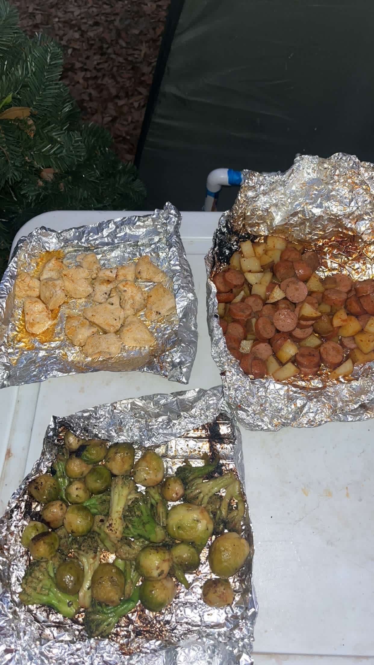 Foil dinners on the grill 