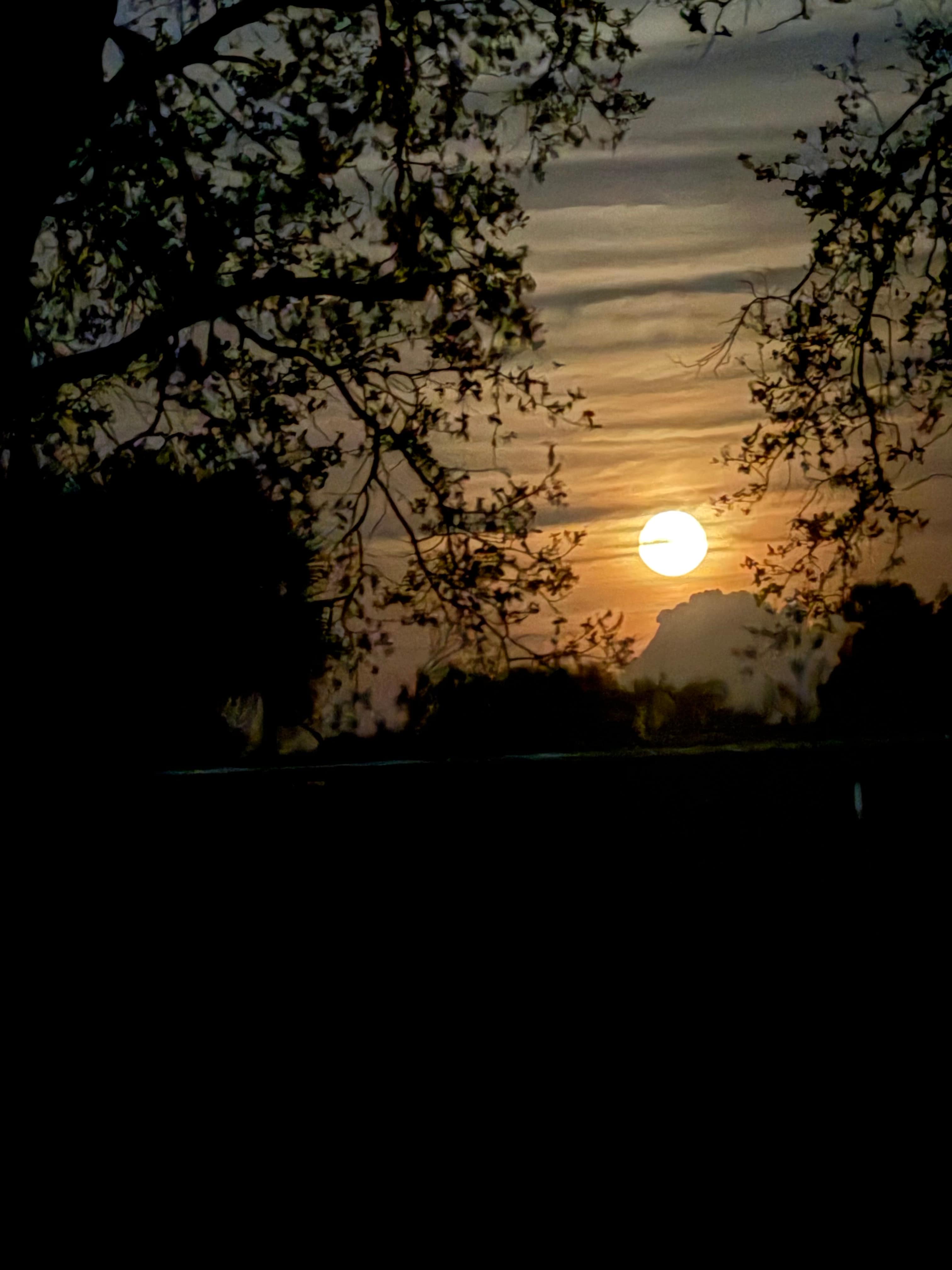 Beautiful moon 