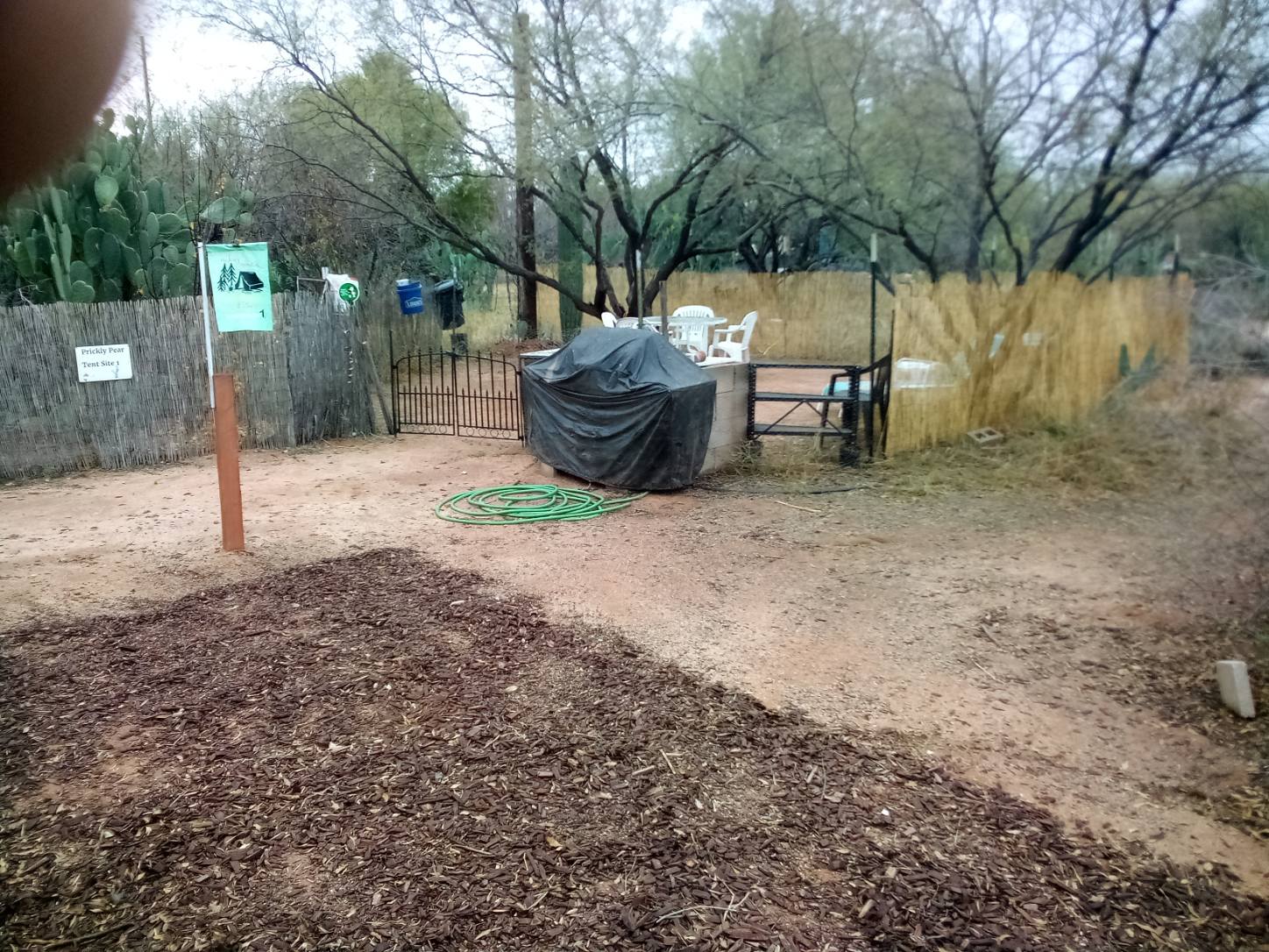 Picture of the site