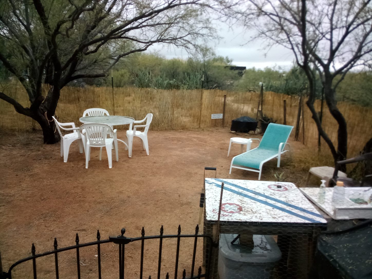 Picture of the site