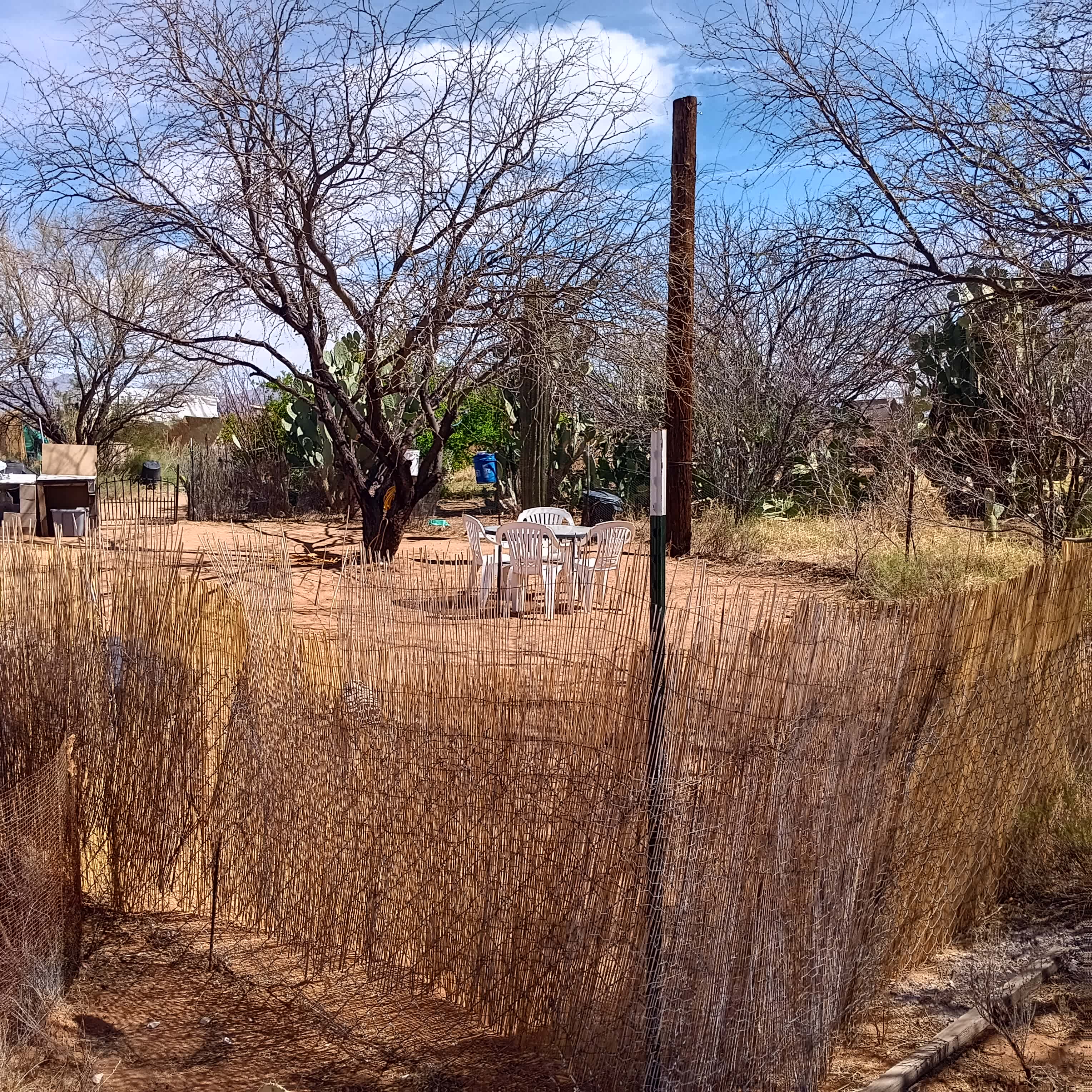 Picture of the site
