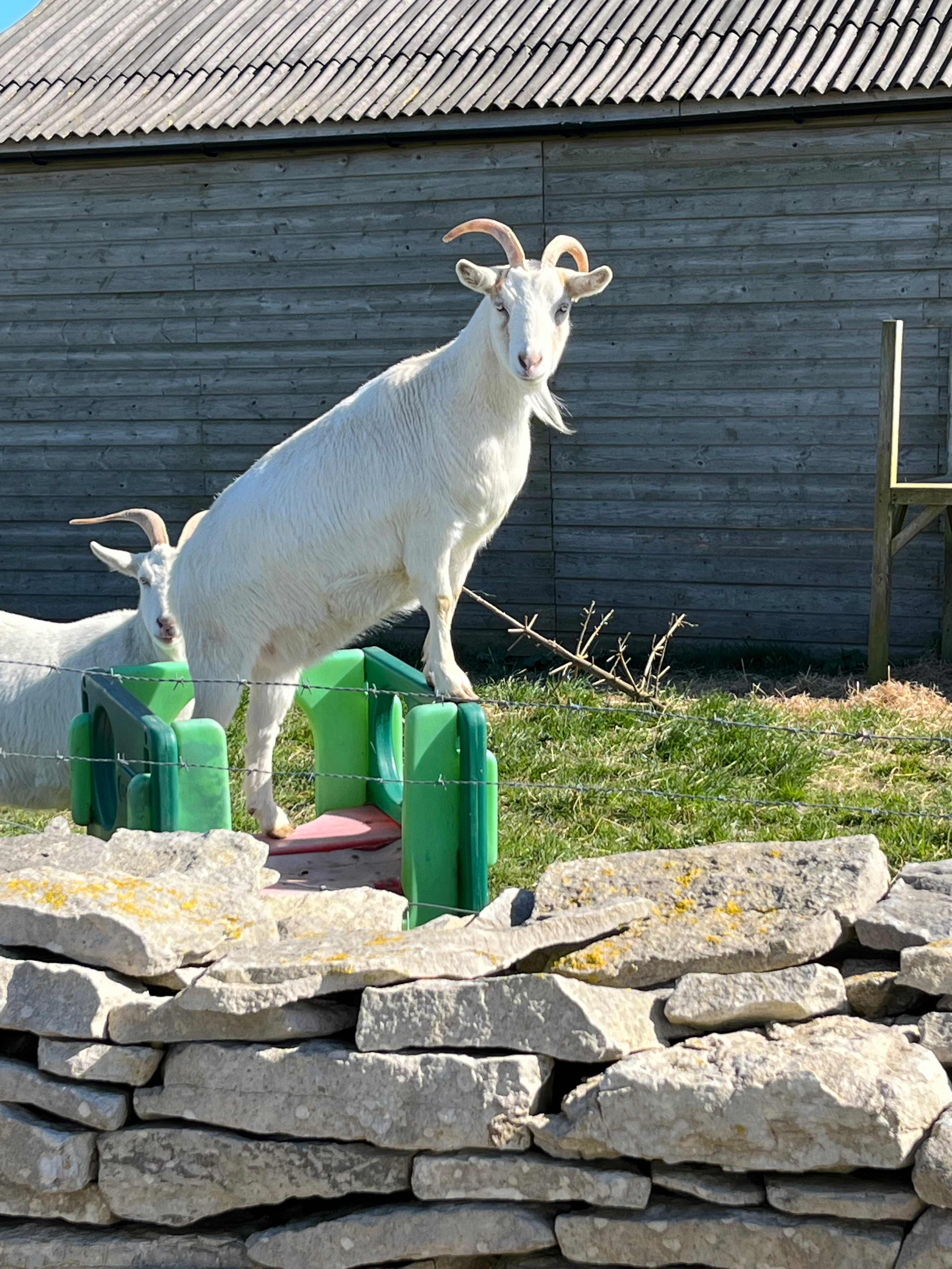 Sweet Hill Farm