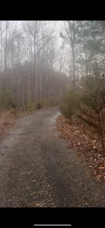 Carter’s Ancestral Acres