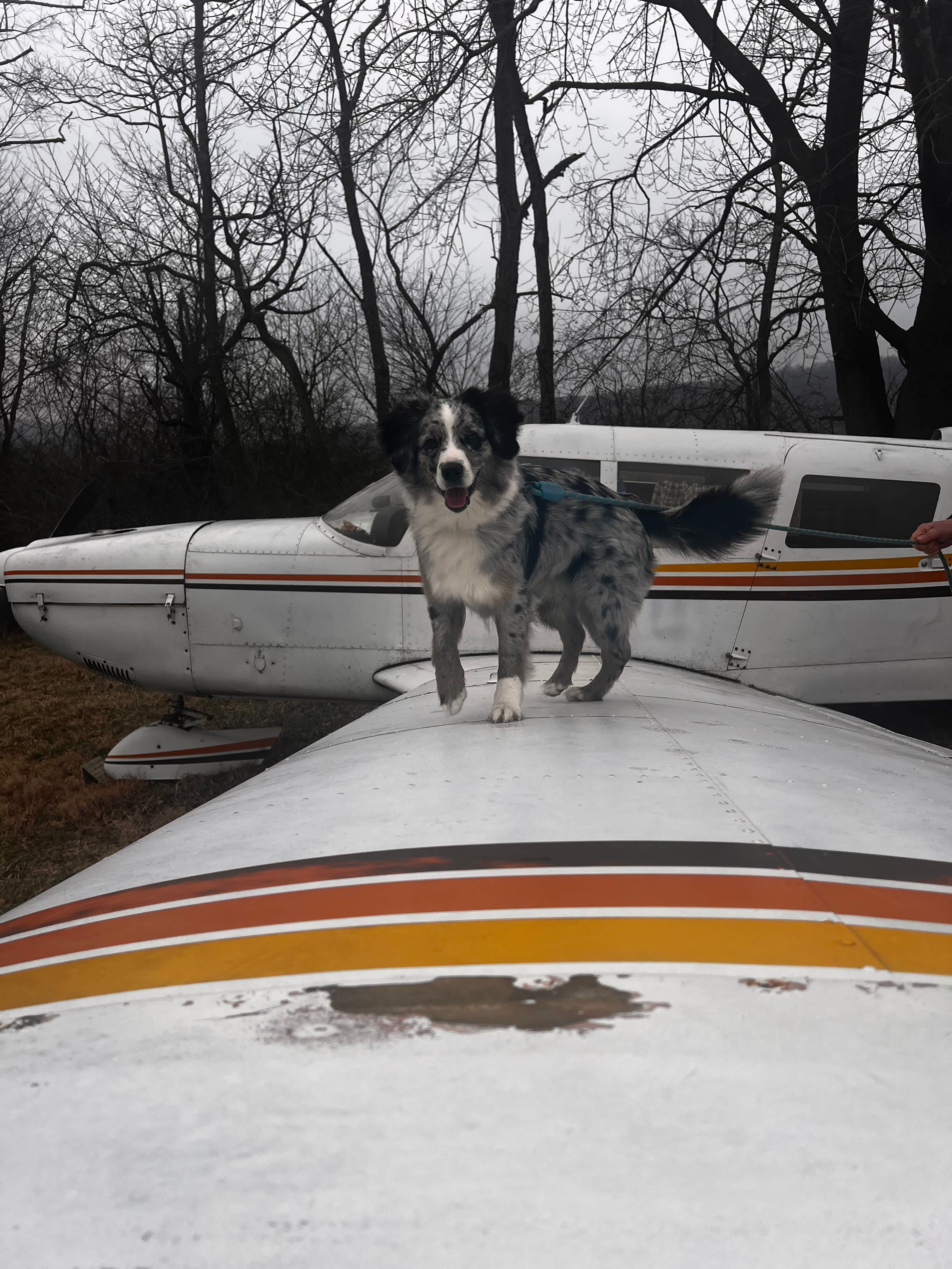 Fairview Farms Airfield
