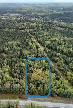 Mossy Forest Camp