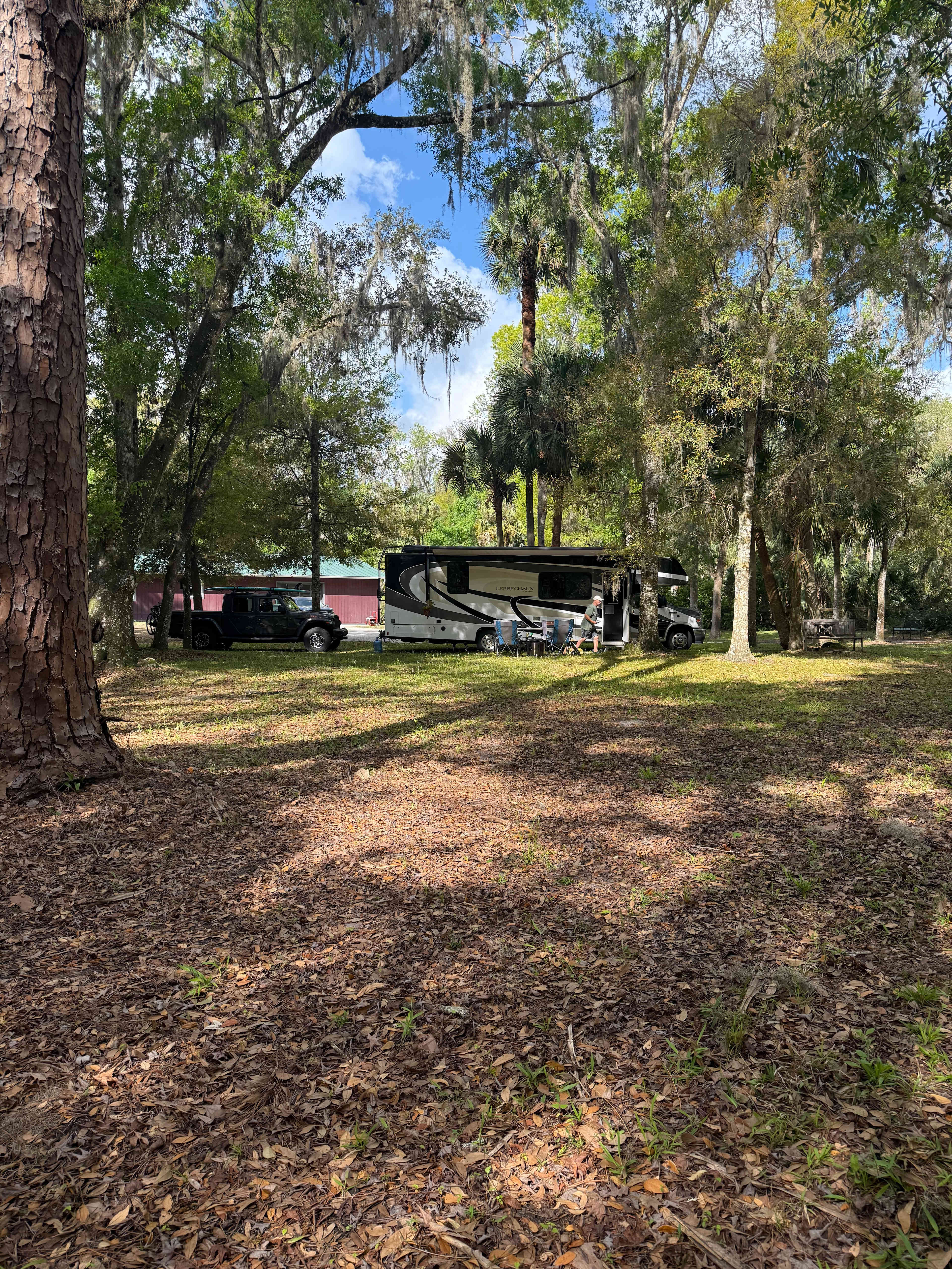 Roots ReTREEt in Old Florida