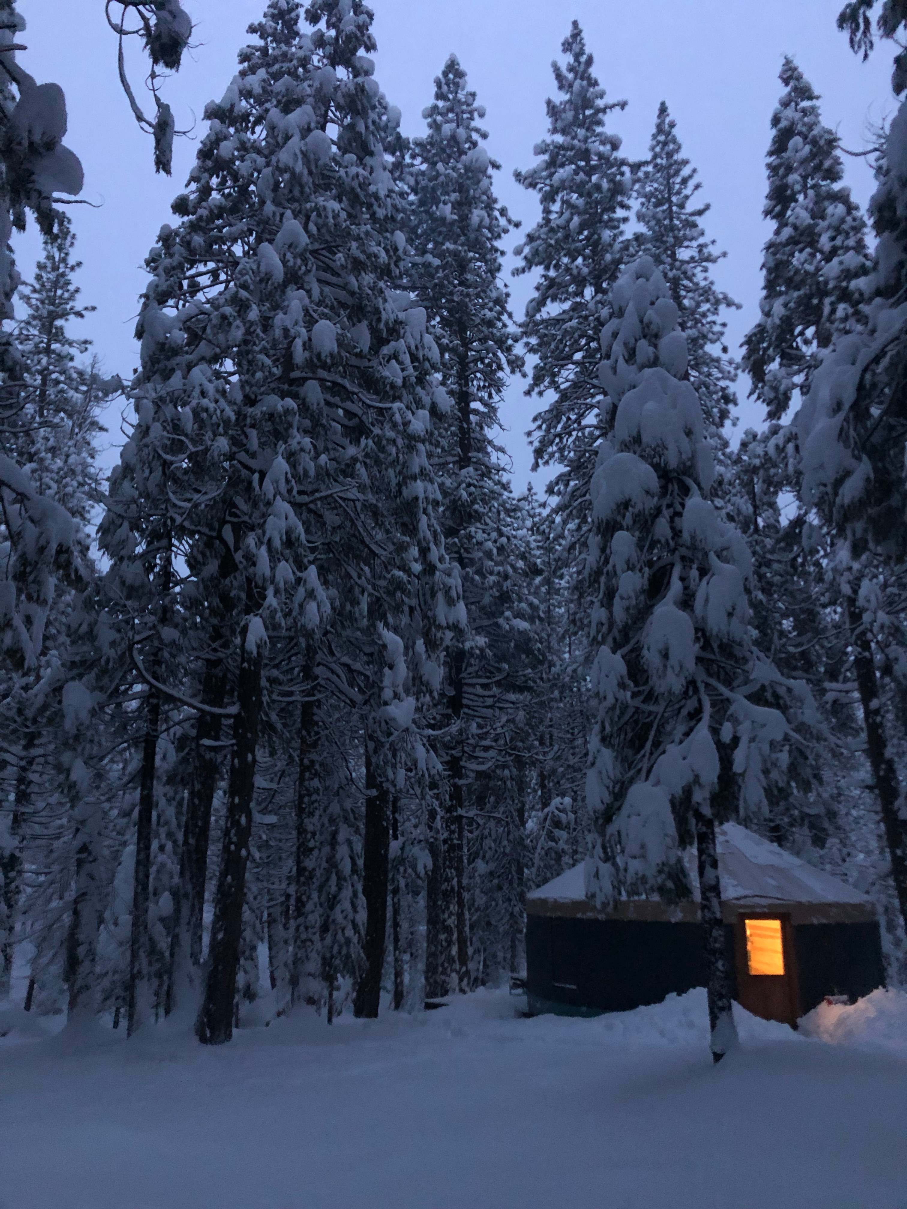 The Reimer Pack Yurt