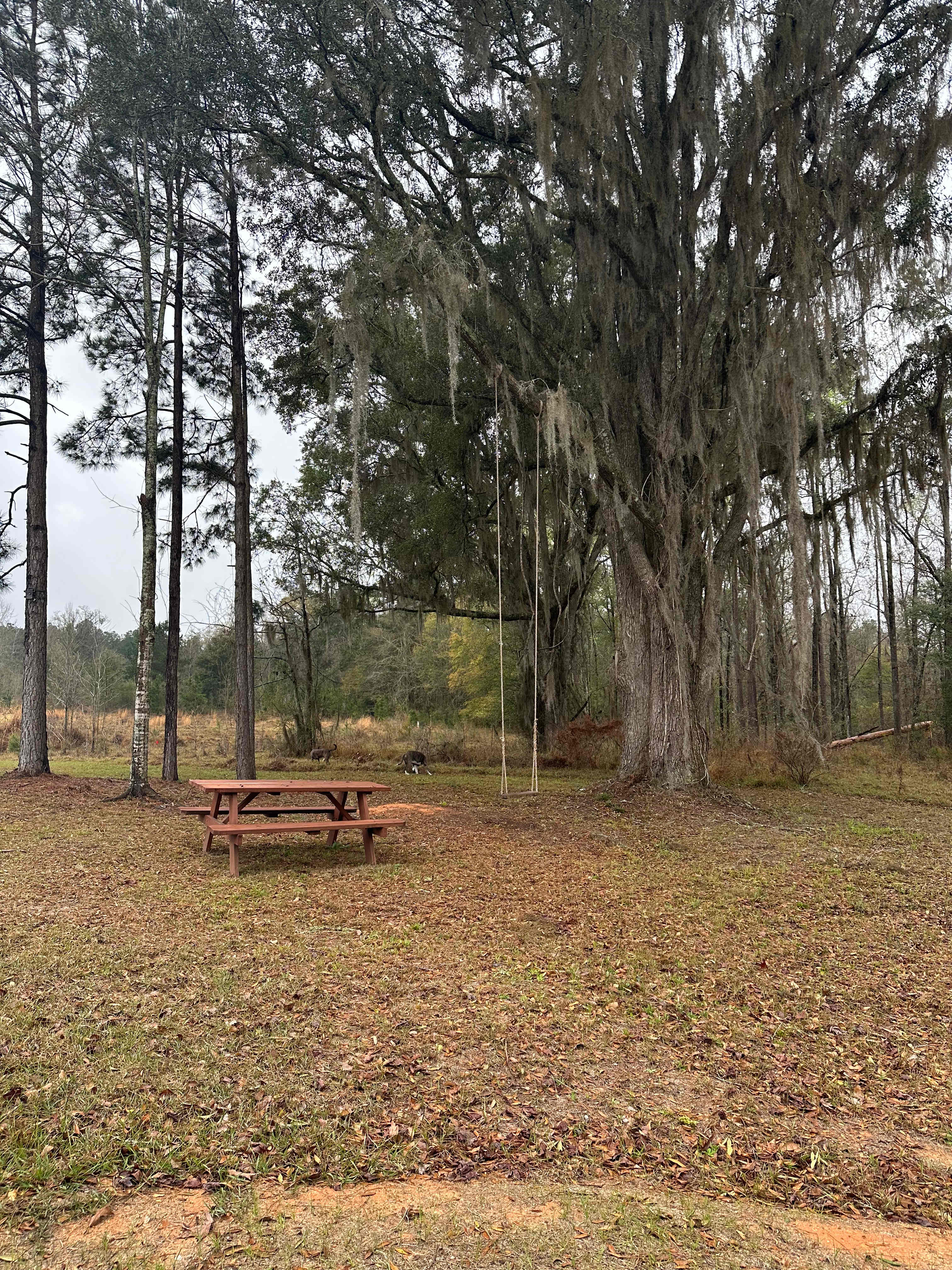 Twin Pines Lakeside RV