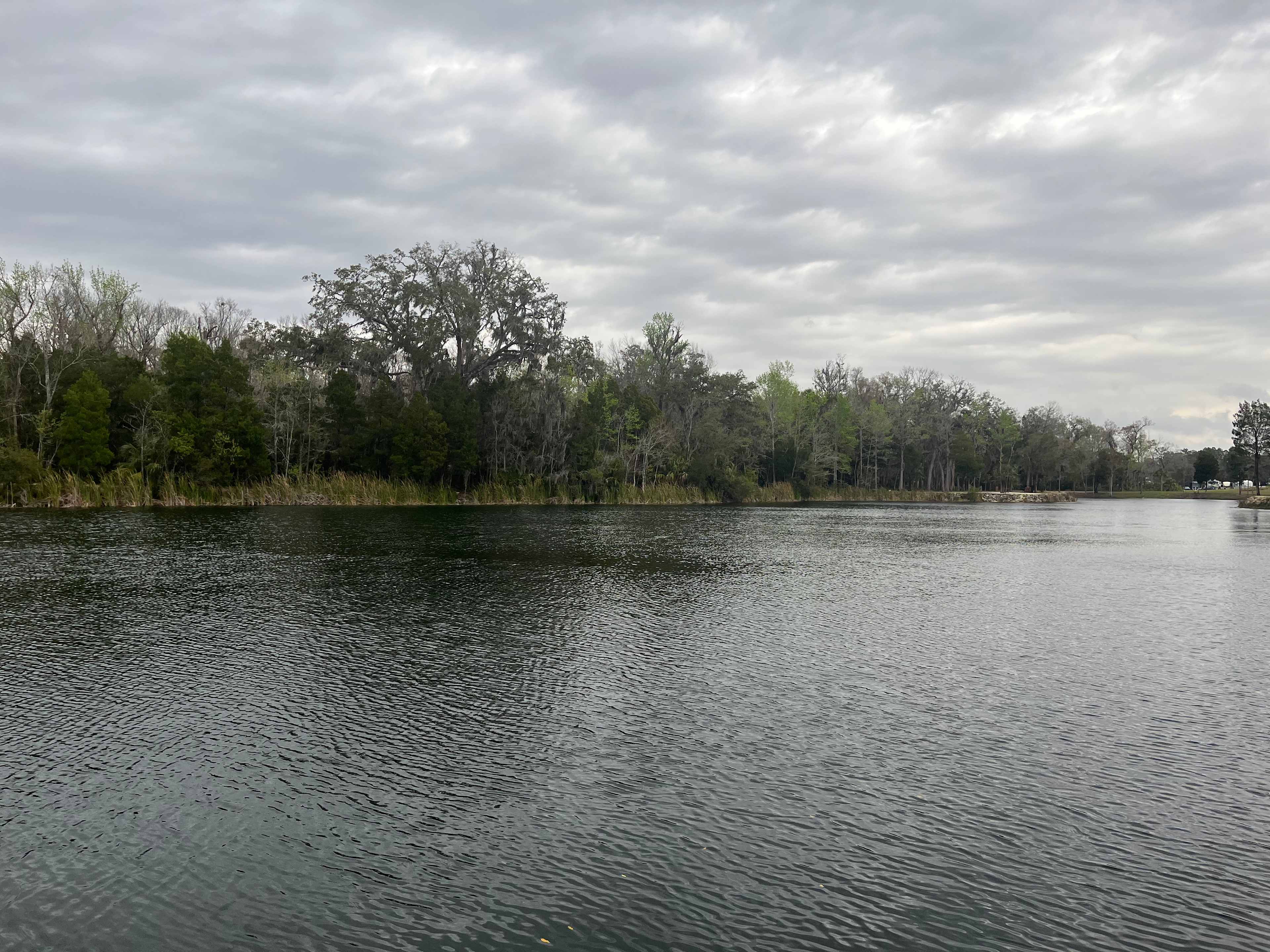 Sweet Citrus Acres RV Resort