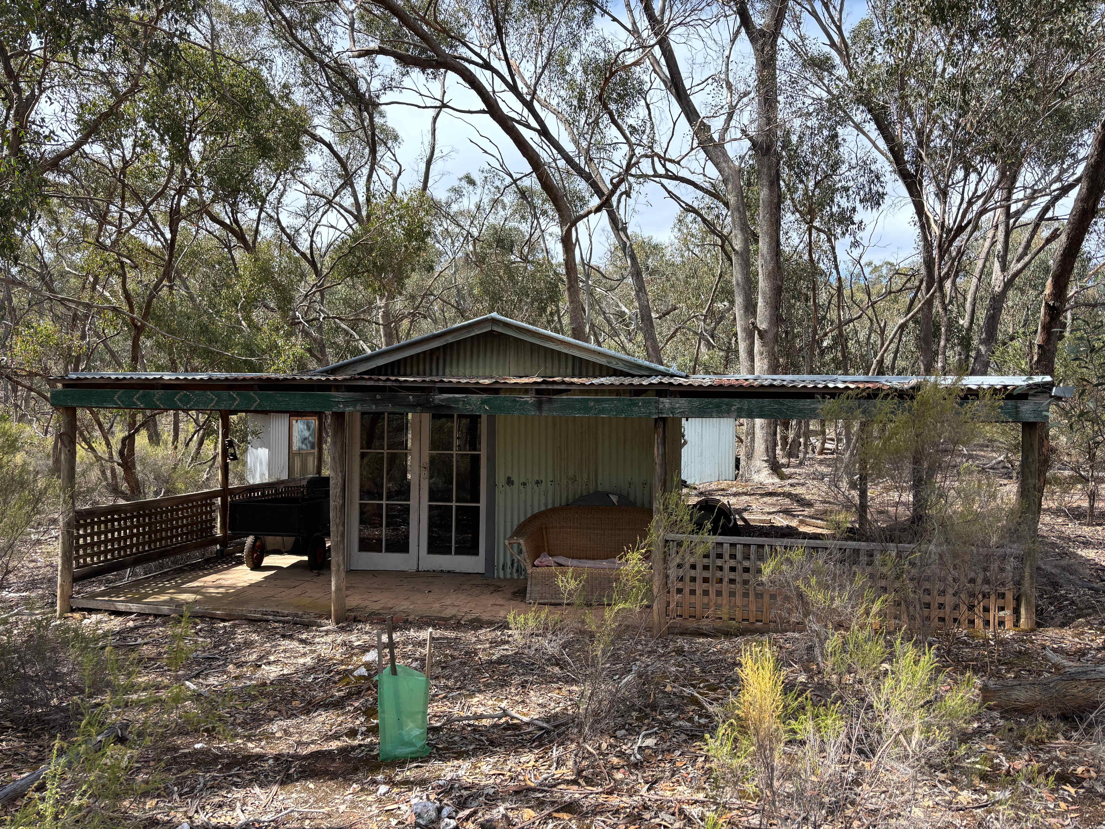Hut Amongst The Gum Trees