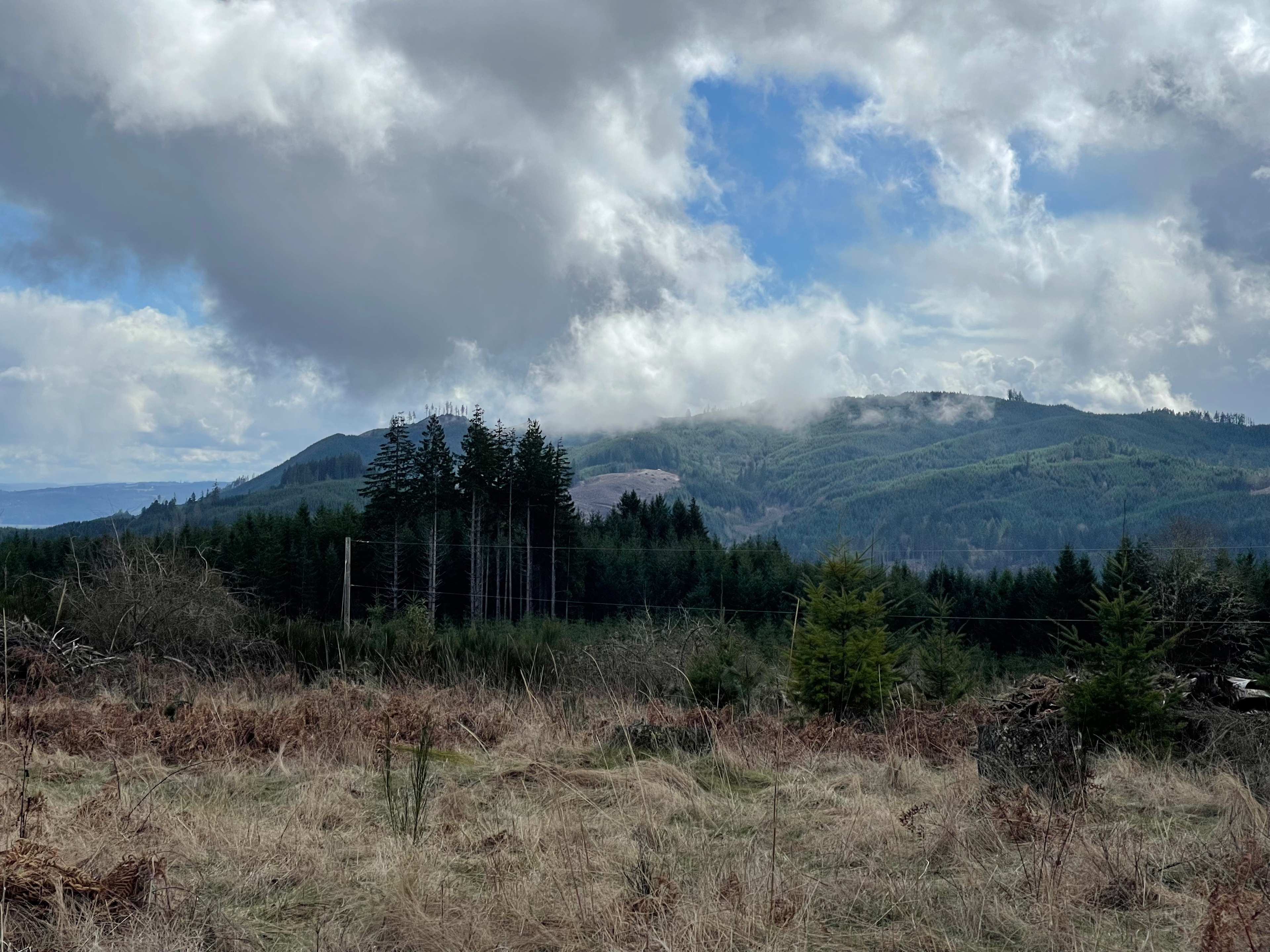 Elk Moon Yurt
