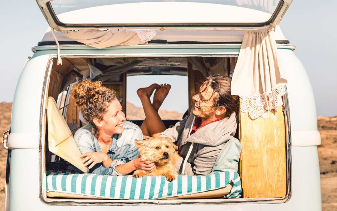Go Wild Camping & Glamping