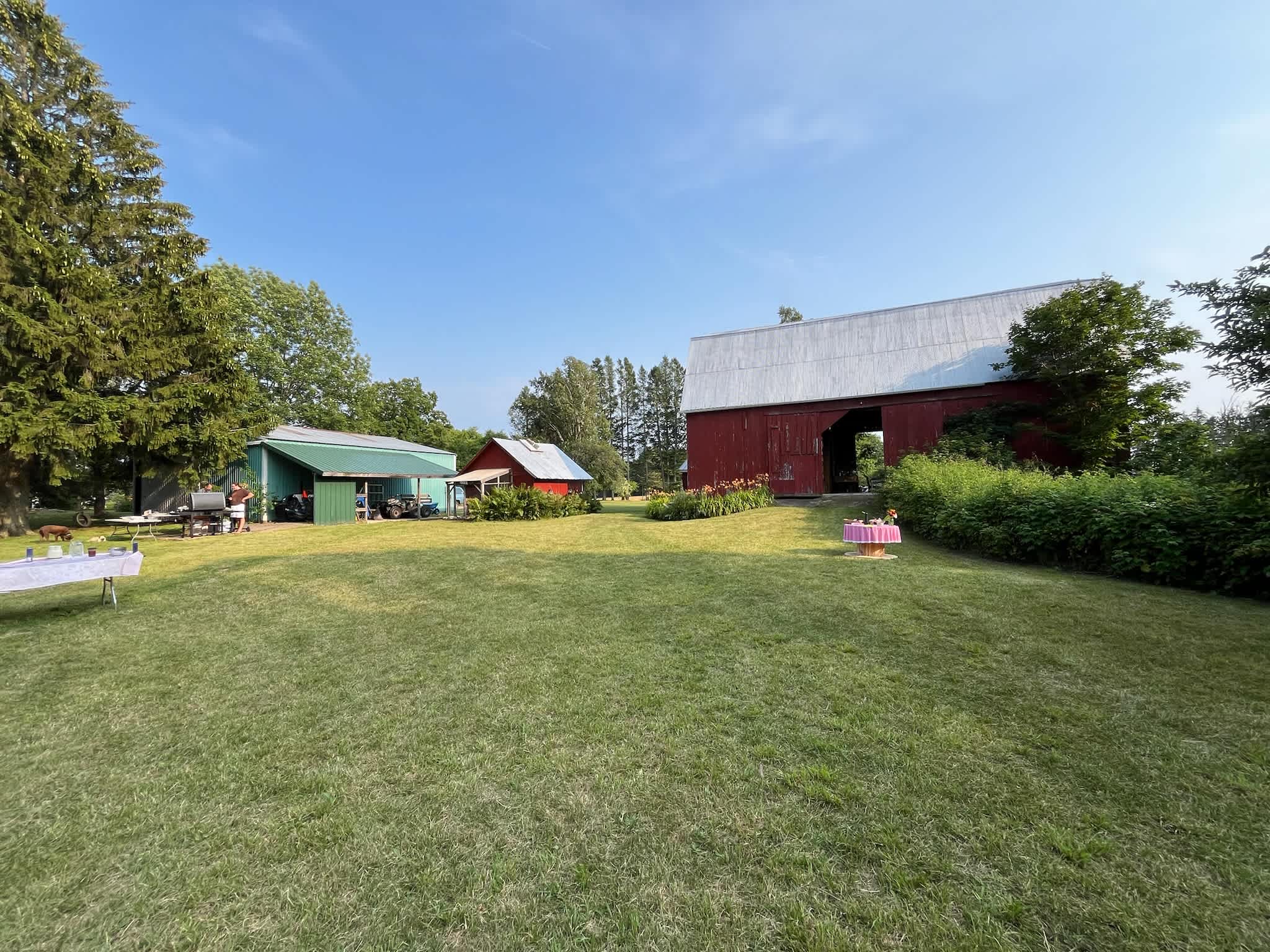 Turtle Moon Farm
