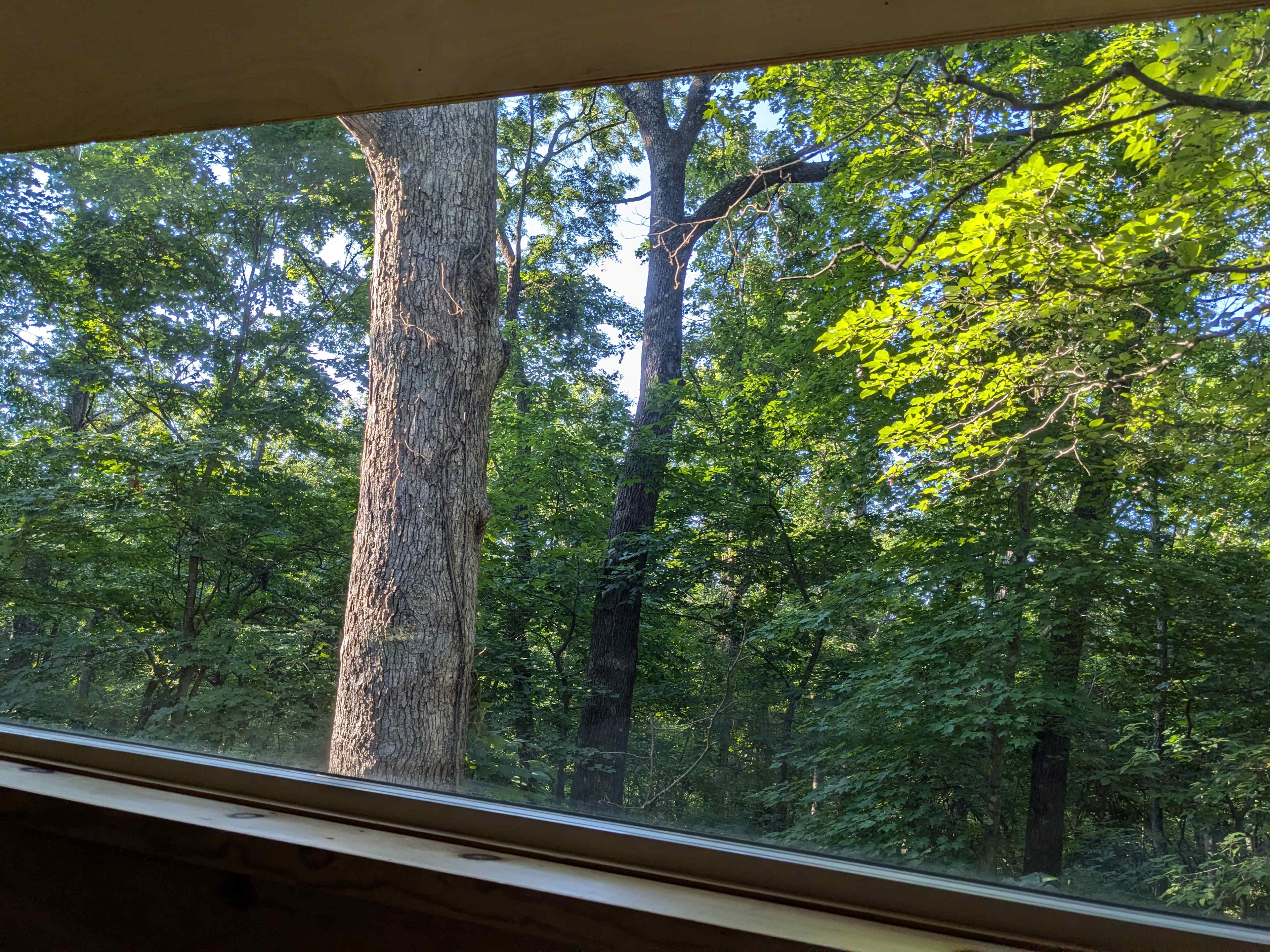 Glamp Games Forest Surround