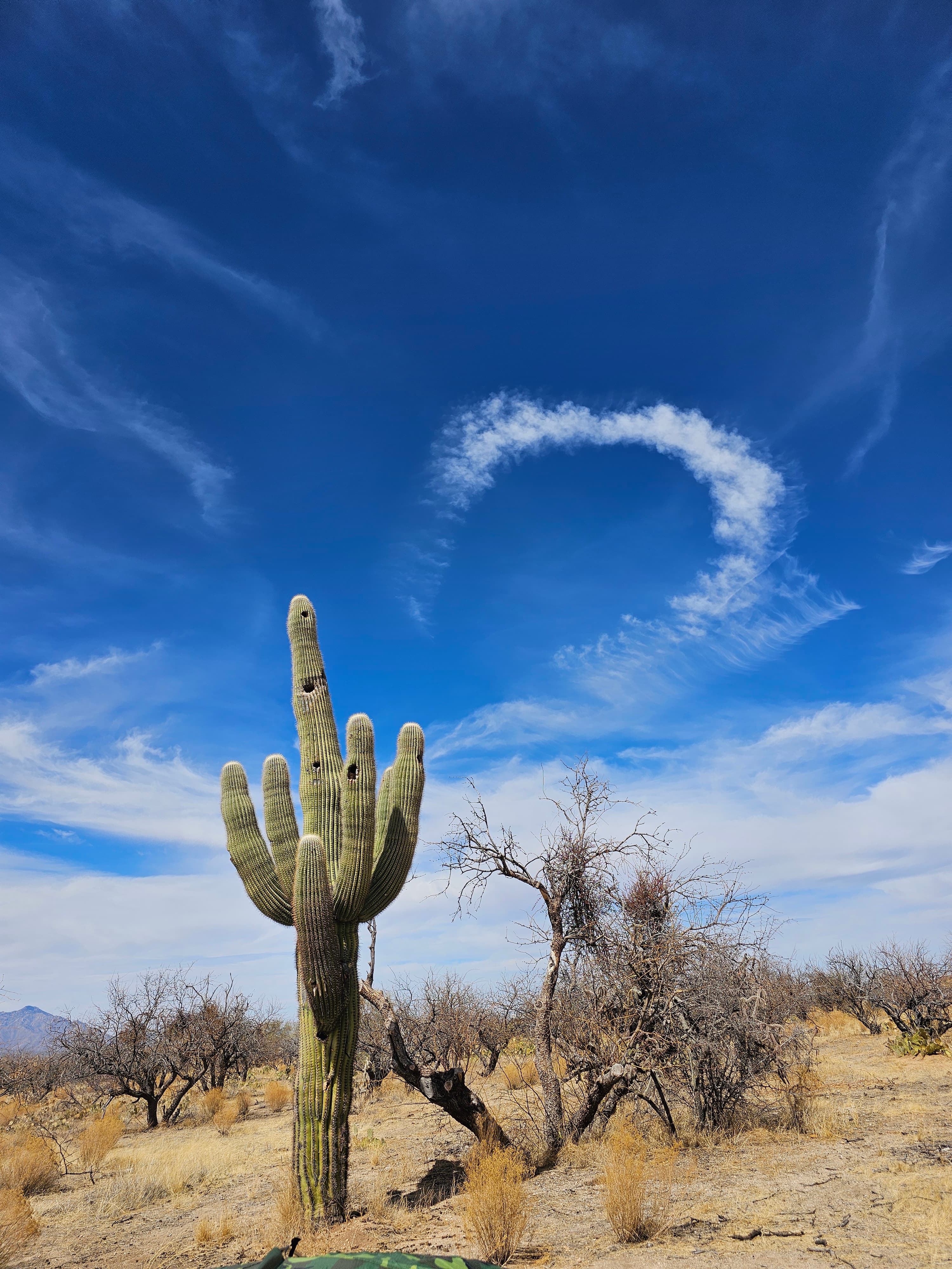 Epic Private 300 Acre Saguaro Park