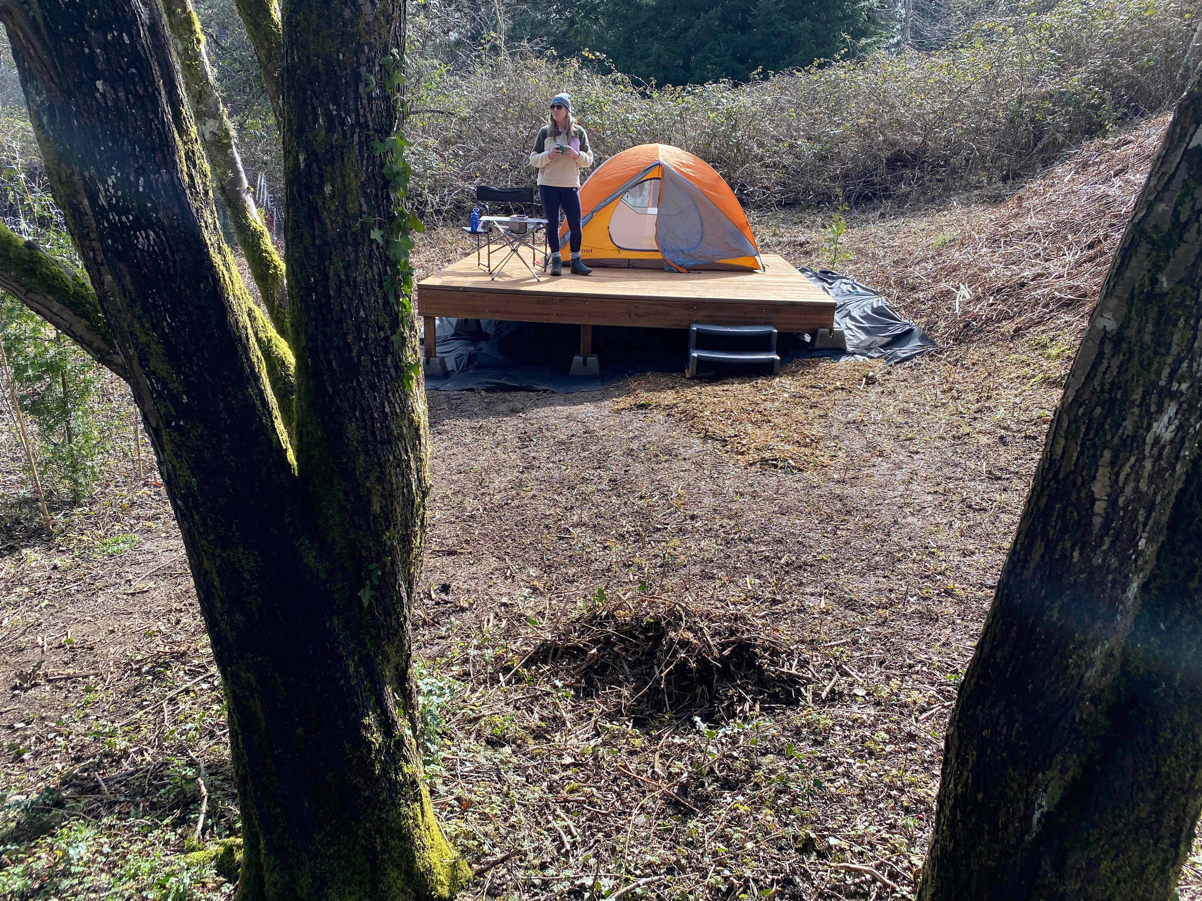 Vashon Island In Town Tent-Topia