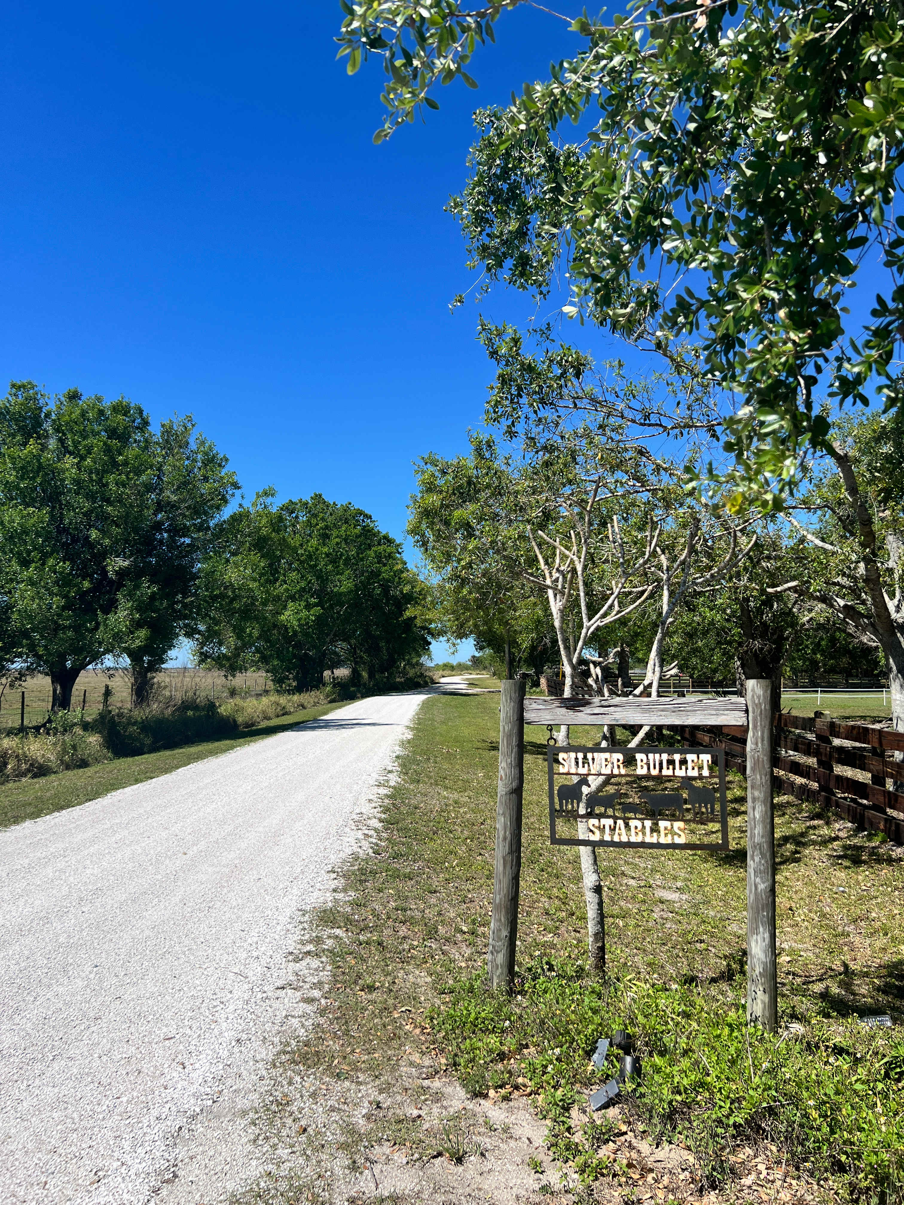 Silver Bullet Stables