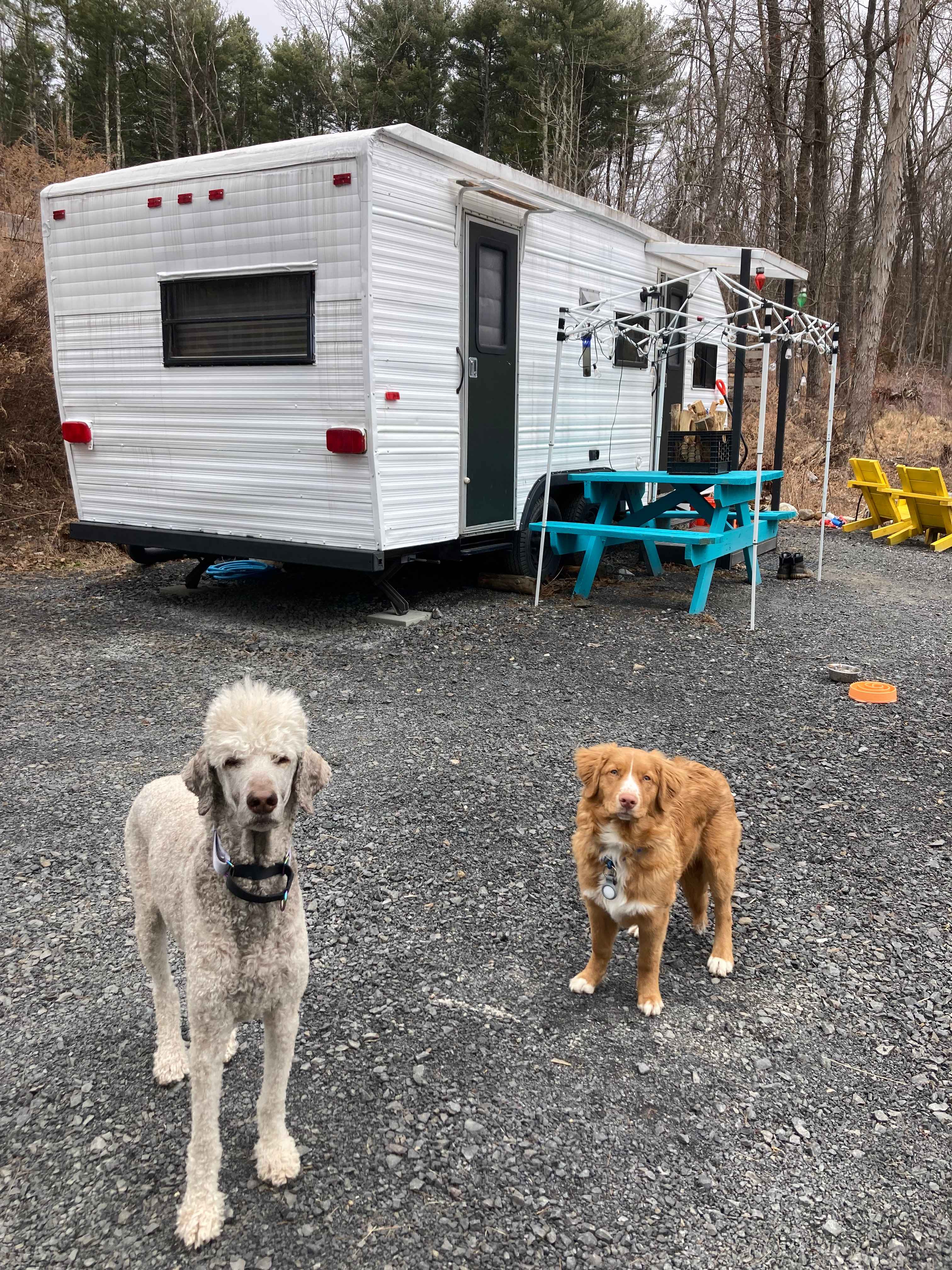 The Catskill And Chill
