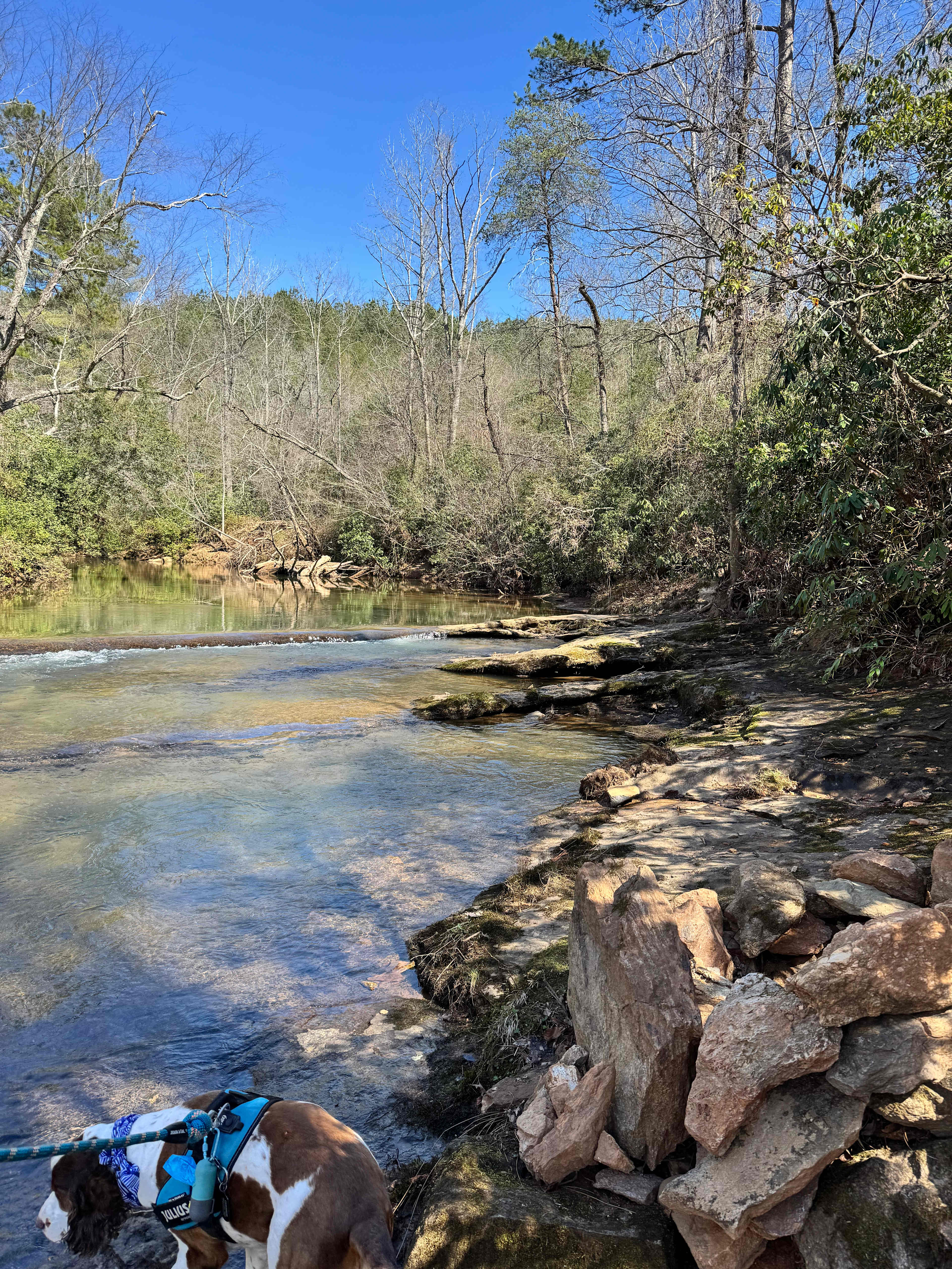 Tellurian Family Campground