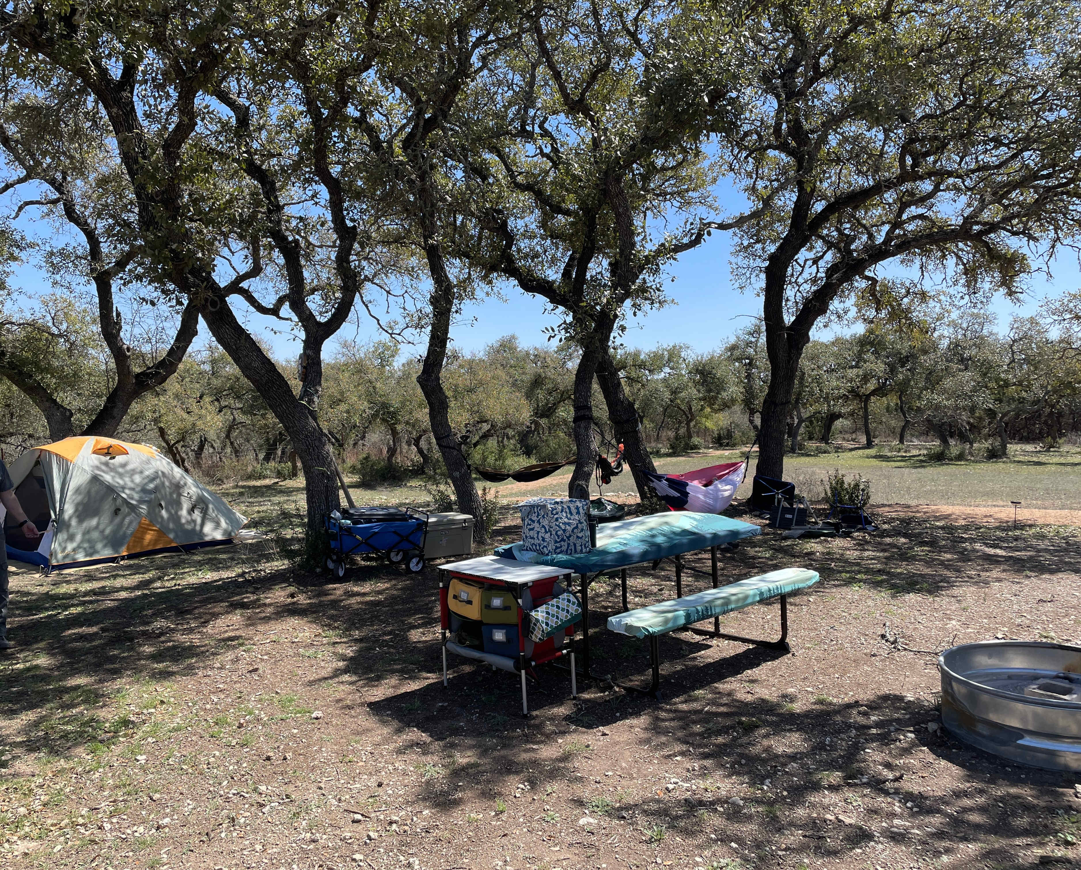 Picture of the site