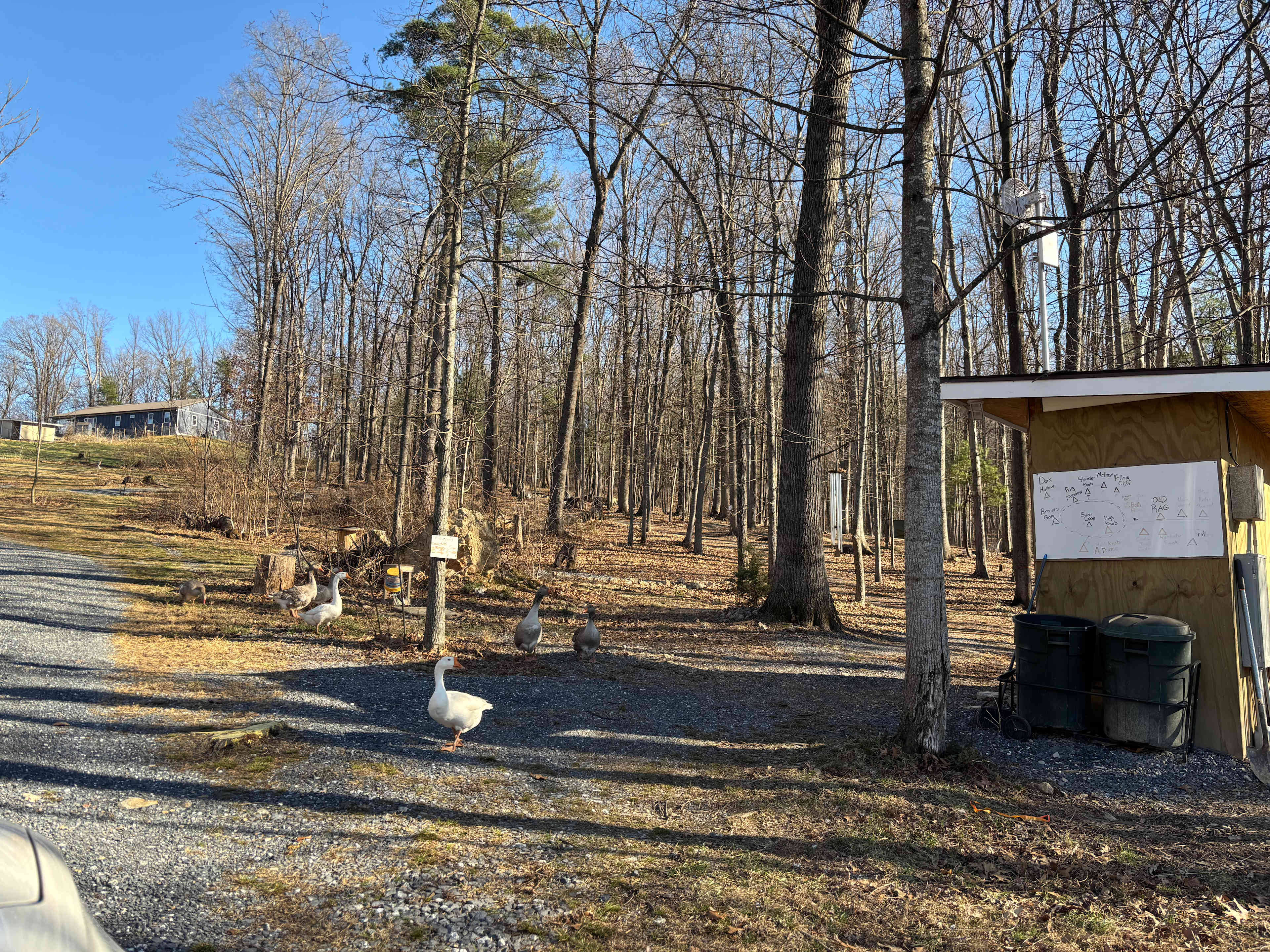 Bathroom lot with the locals!